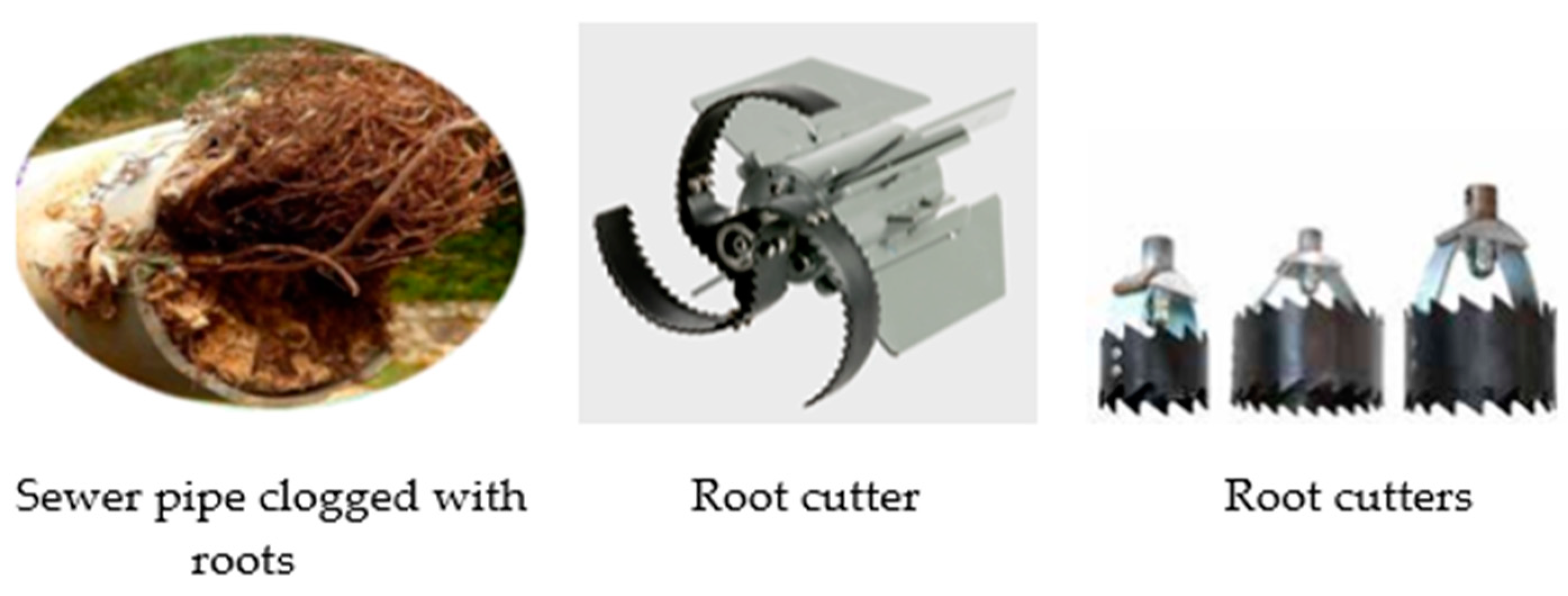 Encyclopedia 03 00010 g006 Encyclopedia 03 00010 g006