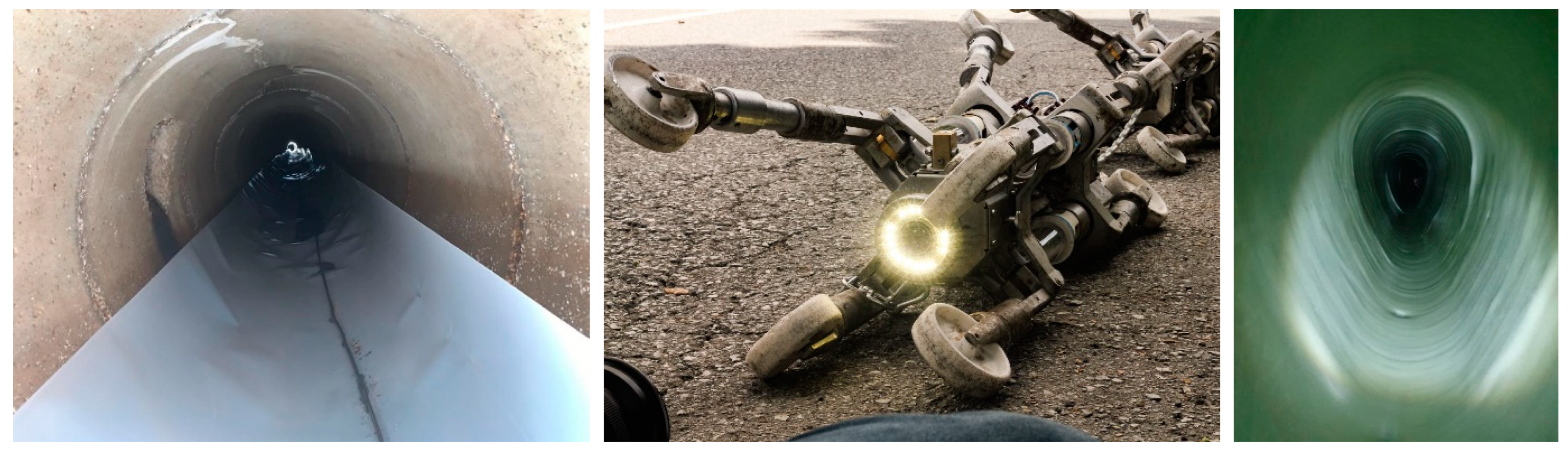 Encyclopedia 03 00010 g013 Encyclopedia 03 00010 g013