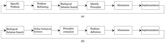 Encyclopedia | Free Full-Text | From Bioinspiration to Biomimicry in ...