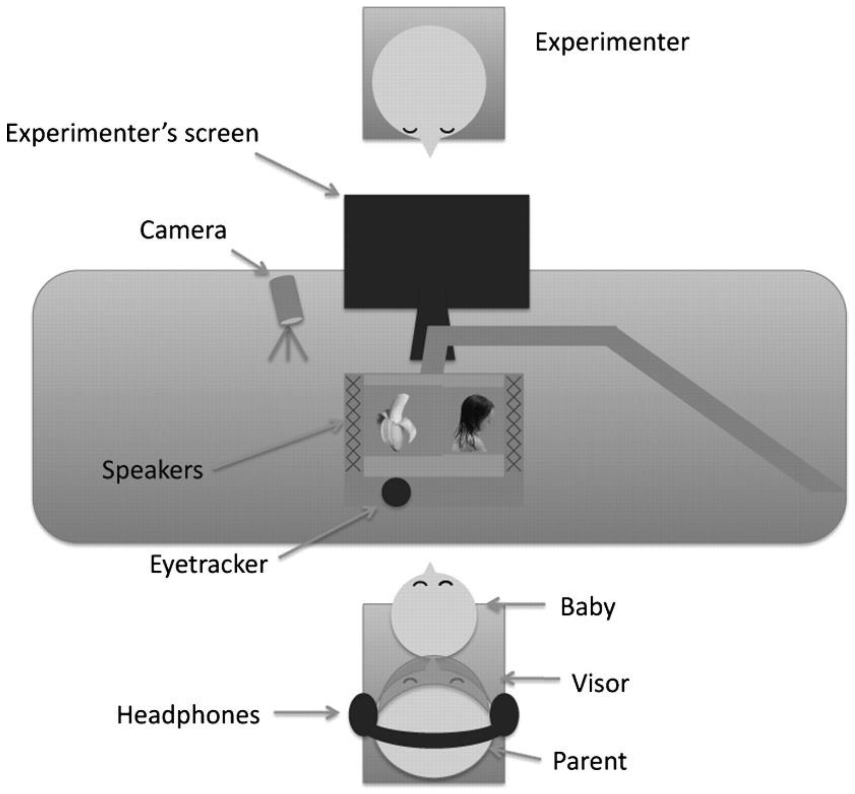 Encyclopedia 03 00016 g008