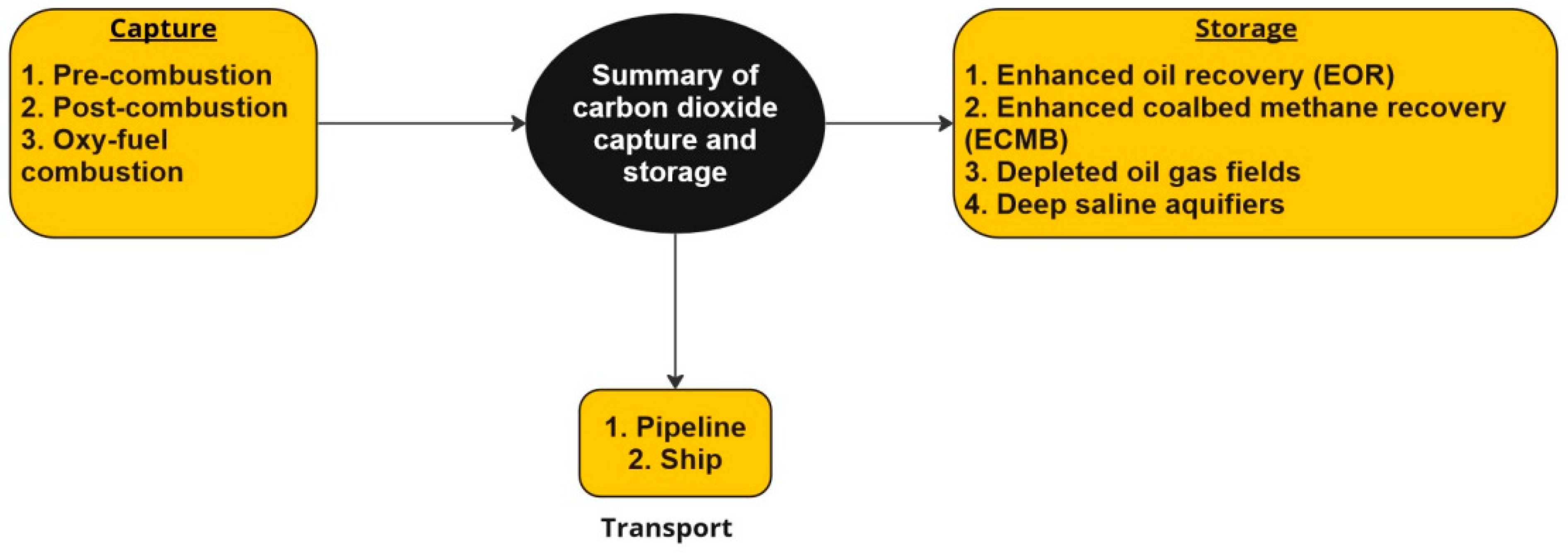 Encyclopedia 03 00092 g002
