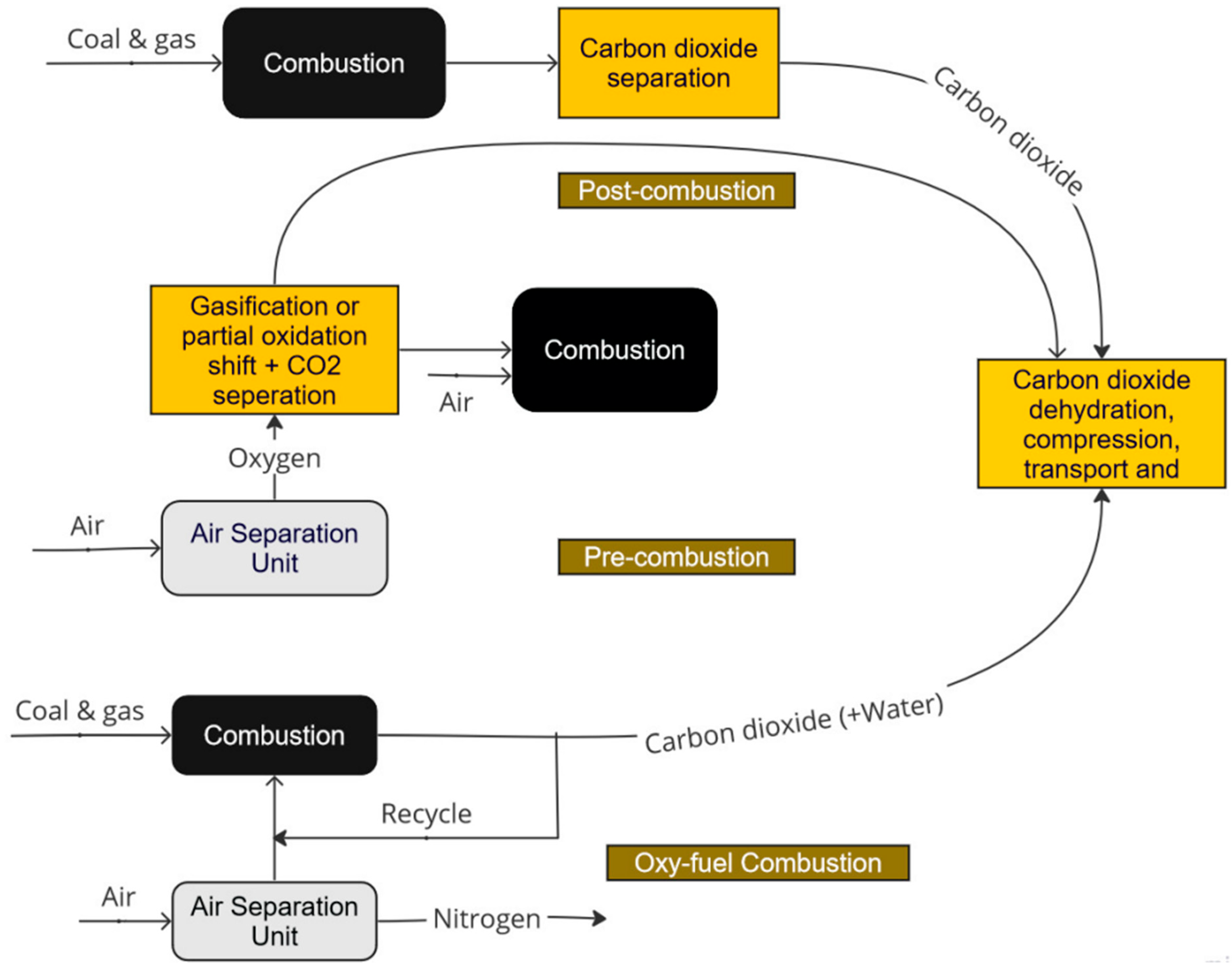 Encyclopedia 03 00092 g003
