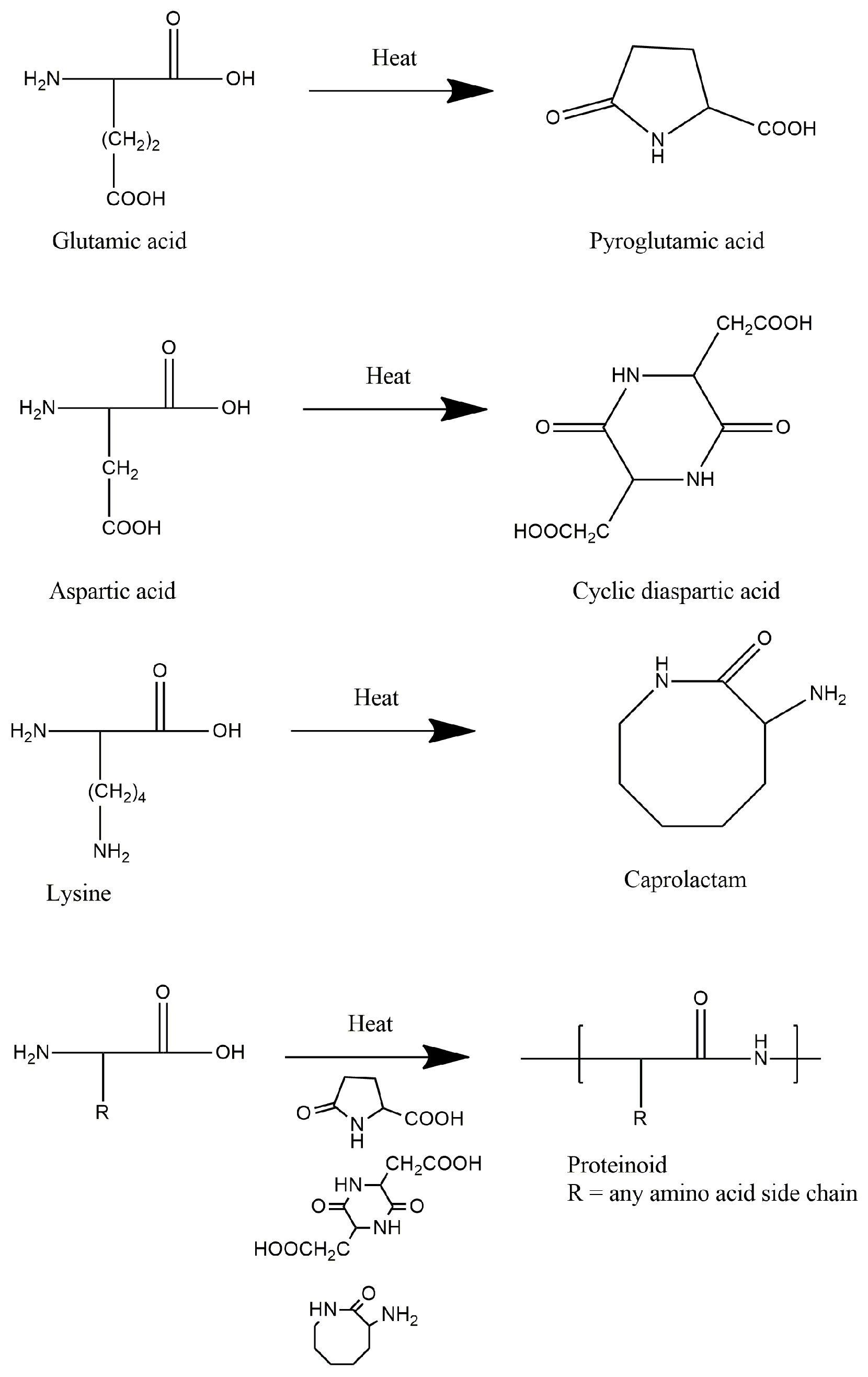 Encyclopedia 04 00034 g006