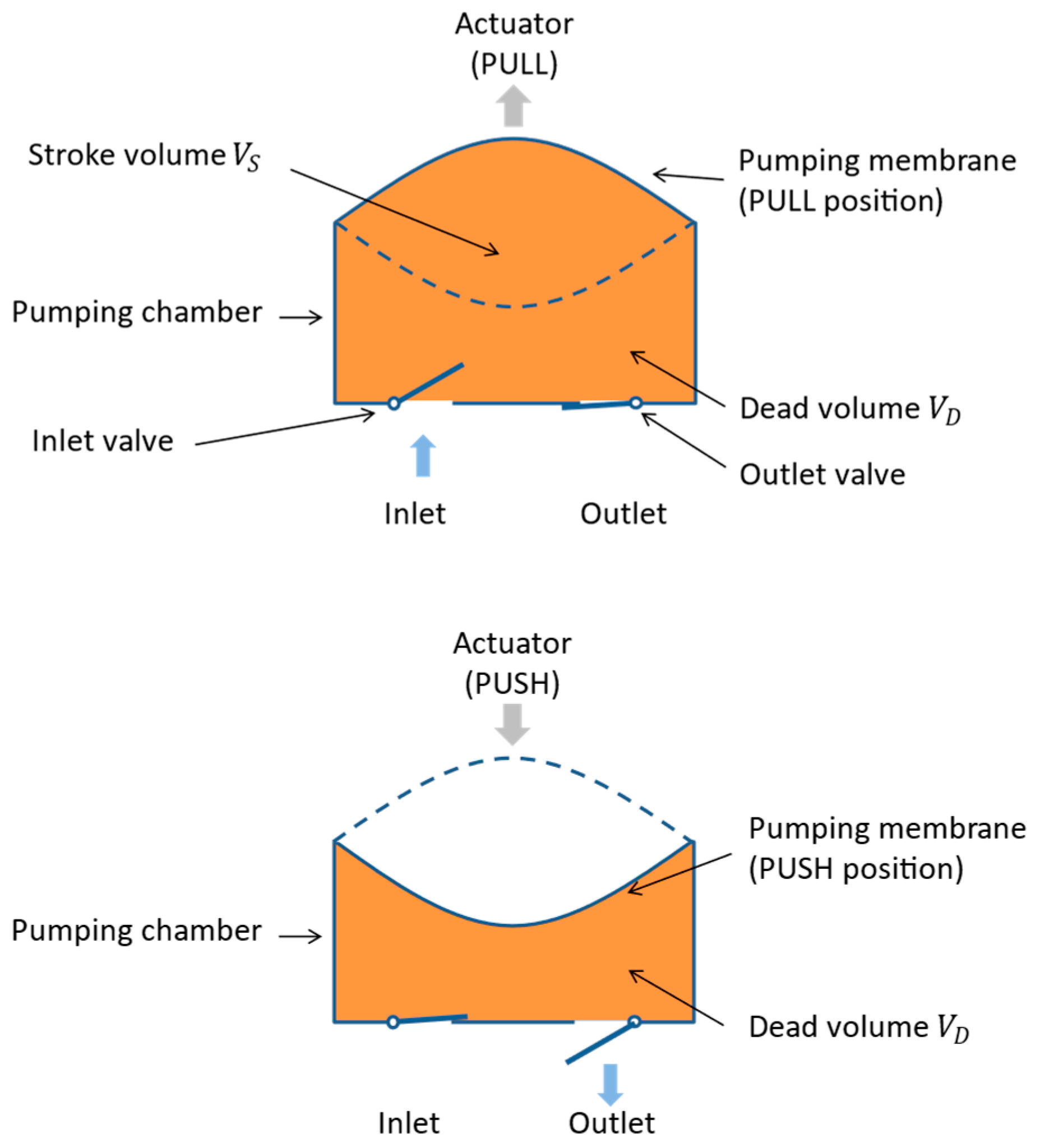 Encyclopedia | Free Full-Text | Displacement Micropump with Check 