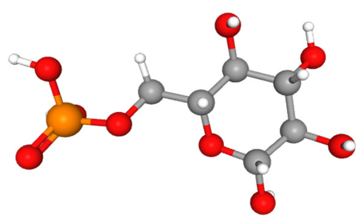 Encyclopedia 04 00077 g005