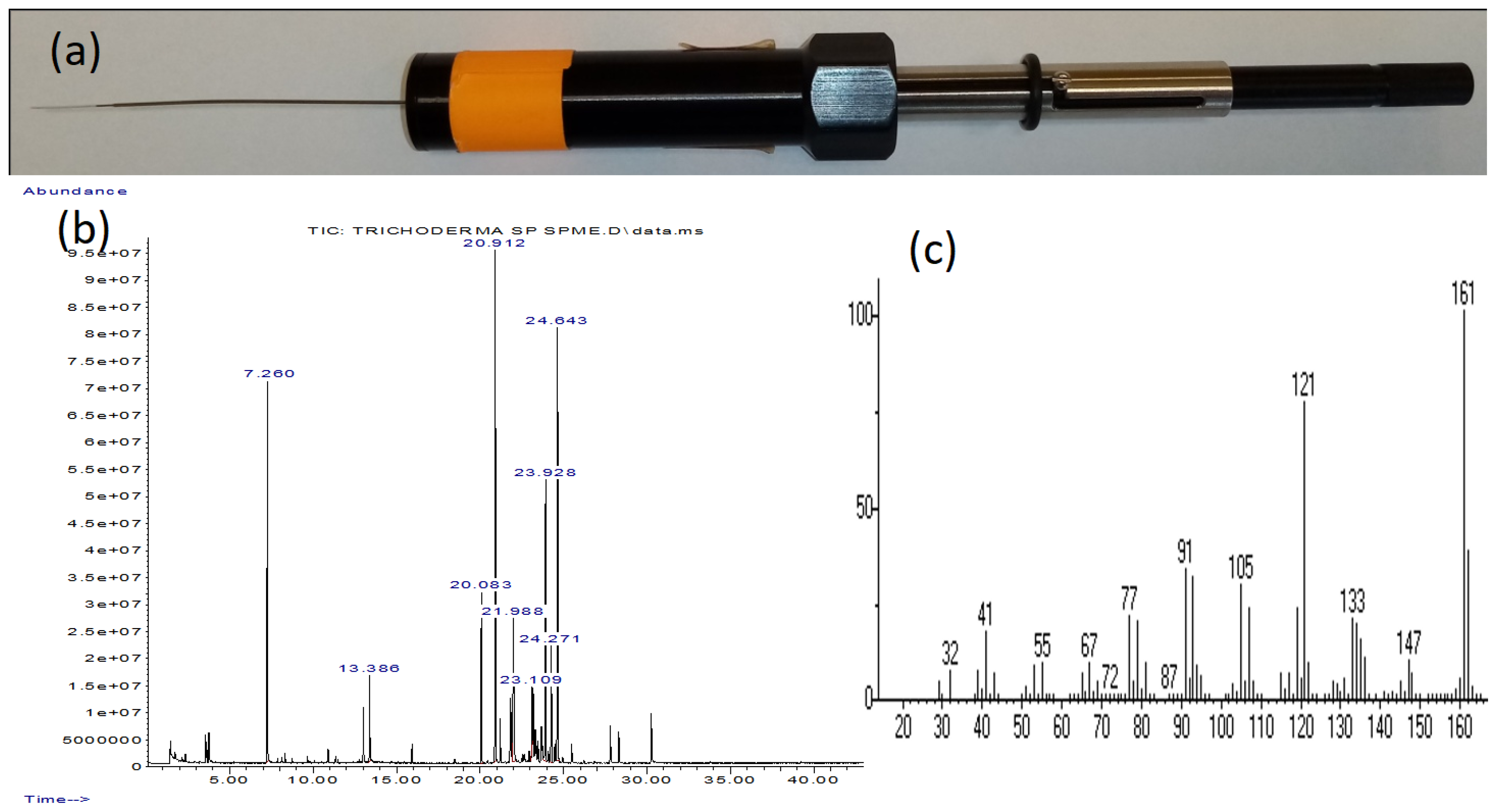Encyclopedia 04 00079 g001