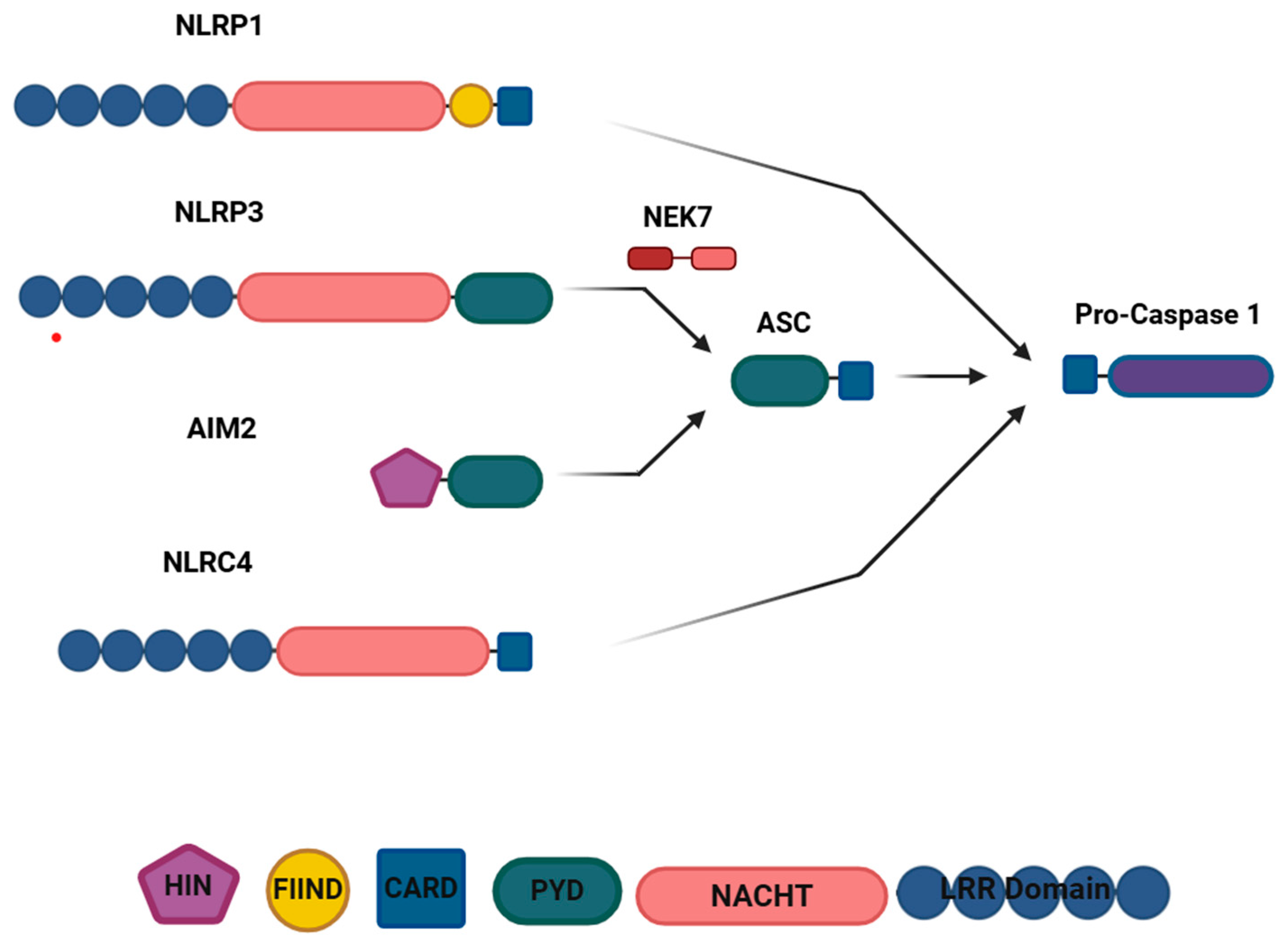 Encyclopedia 04 00110 g001