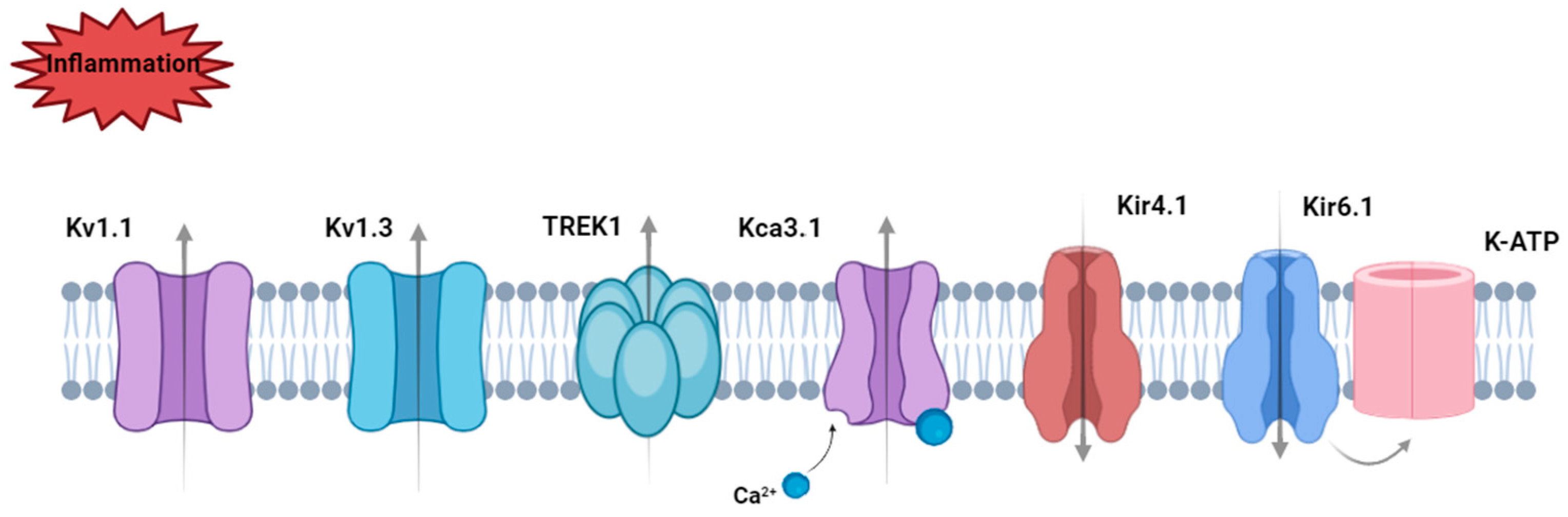 Encyclopedia 04 00110 g005