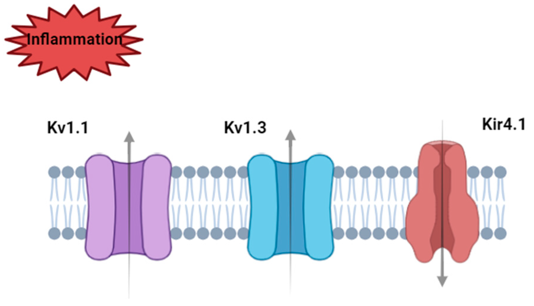 Encyclopedia 04 00110 g006