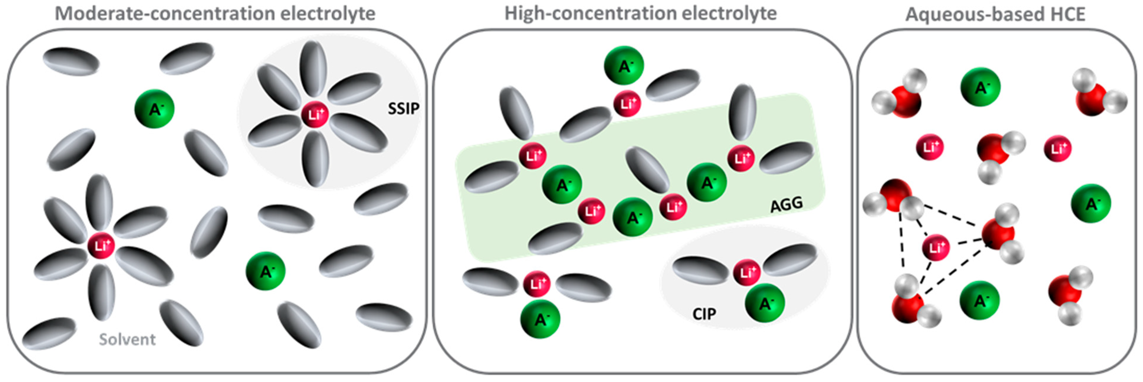 Encyclopedia 05 00020 g006