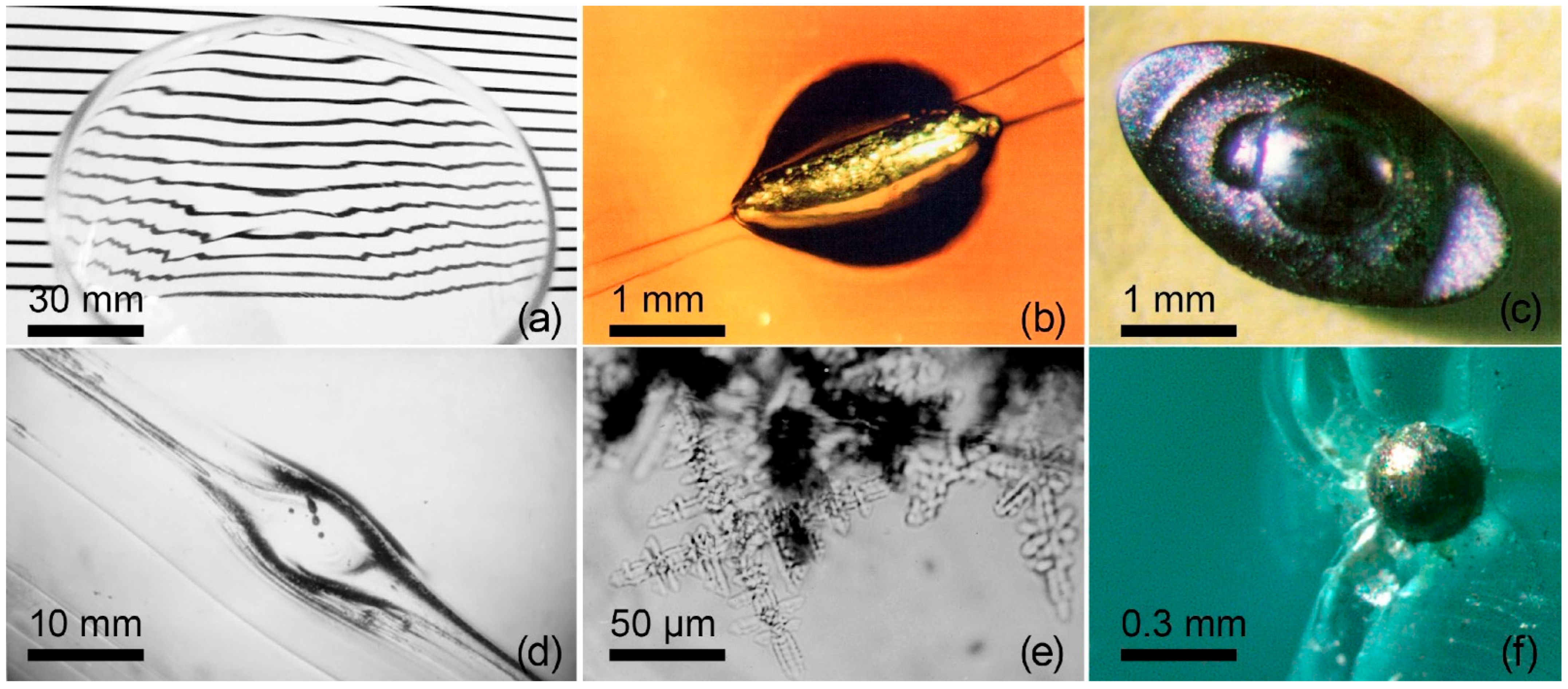 Encyclopedia 05 00136 g001 Encyclopedia 05 00136 g001