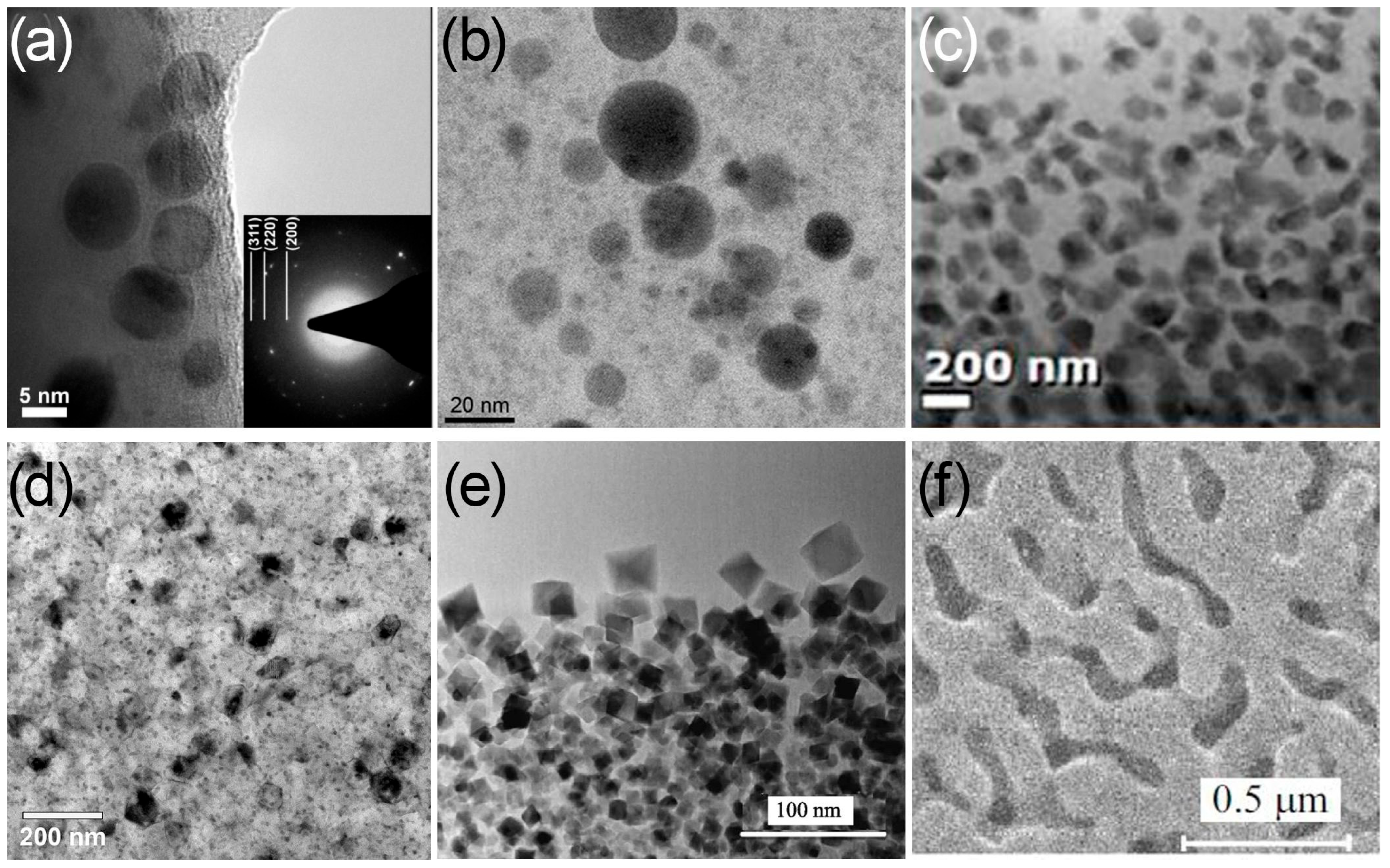 Encyclopedia 05 00136 g002 Encyclopedia 05 00136 g002