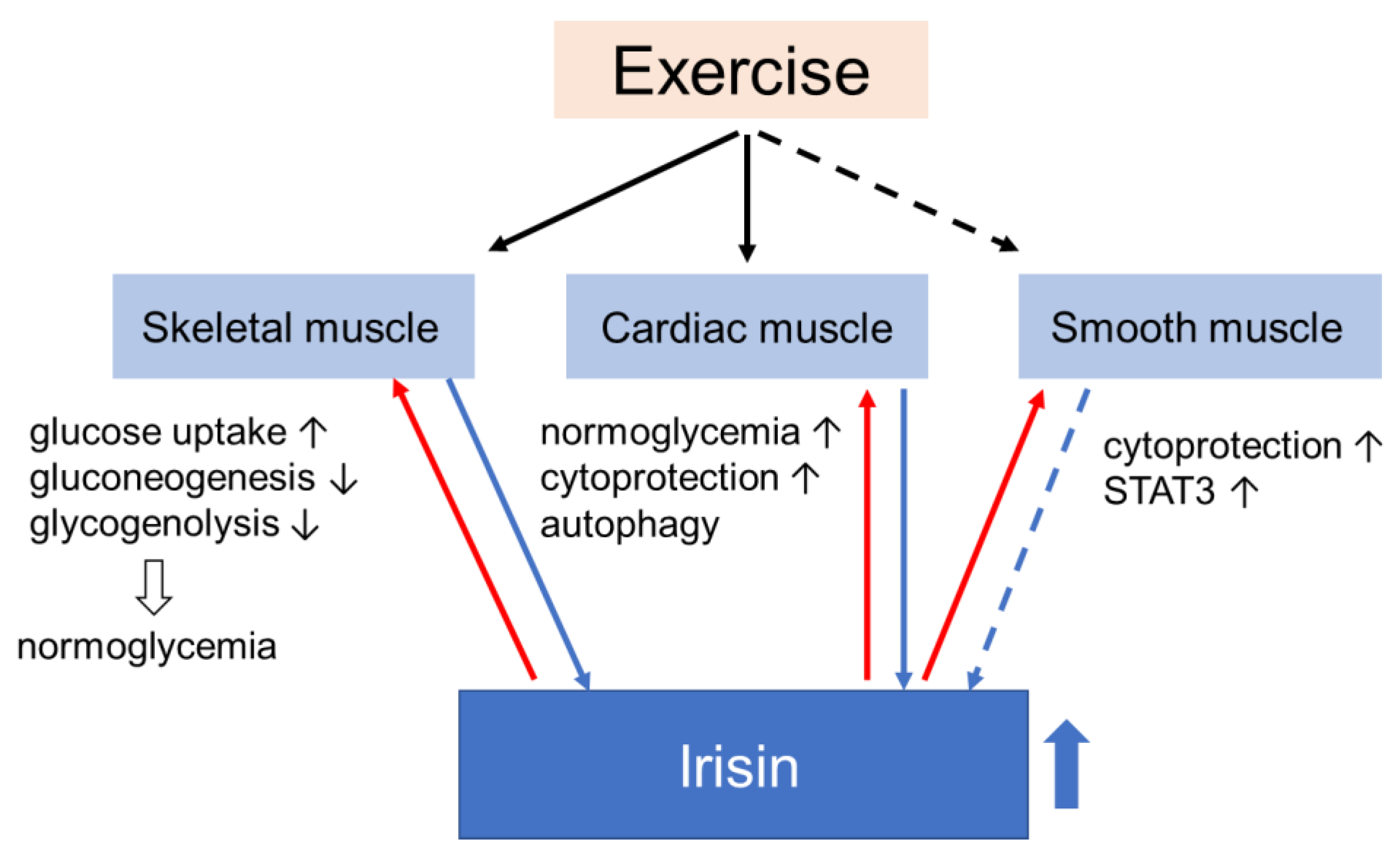 Endocrines 02 00025 g003 Endocrines 02 00025 g003