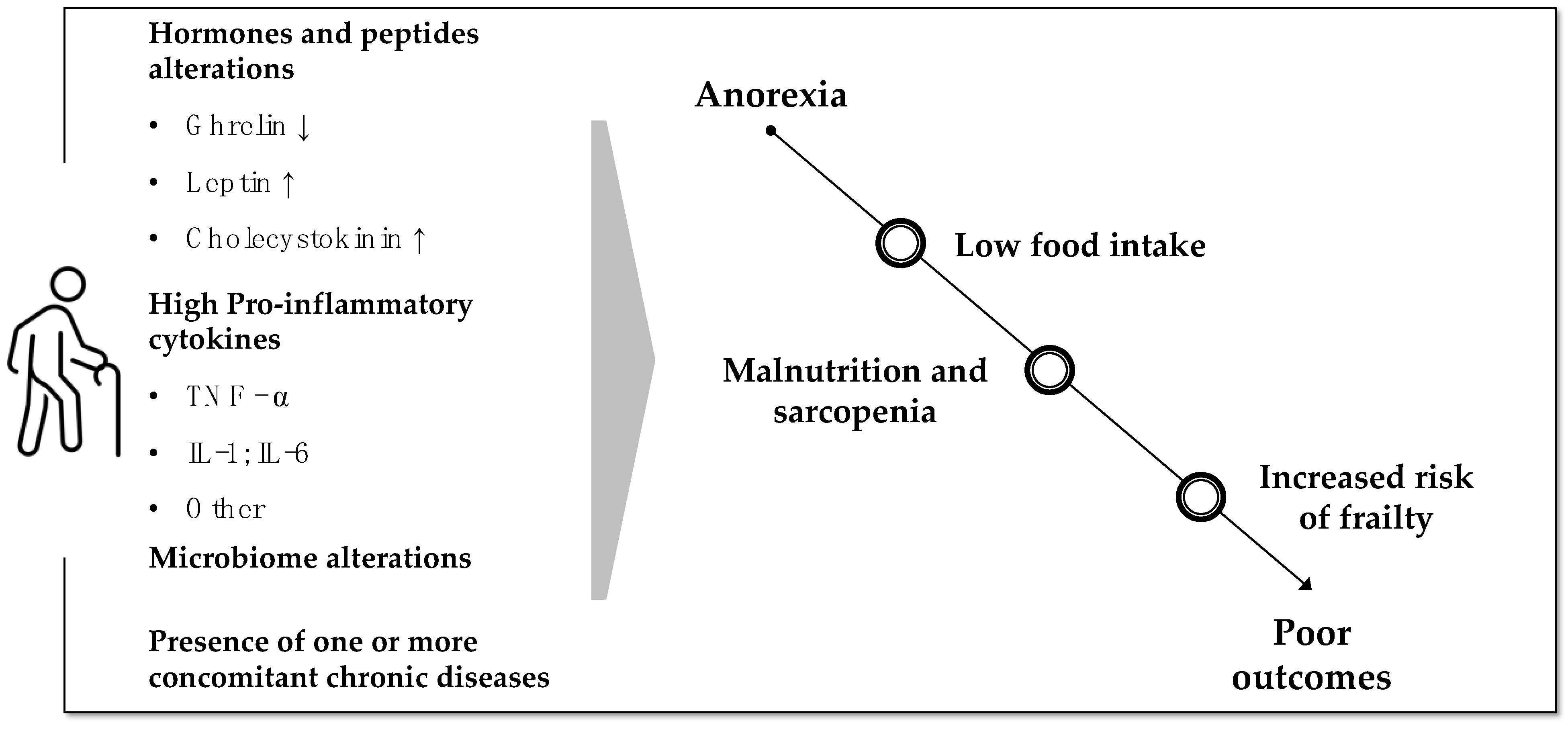 Endocrines 02 00039 g001
