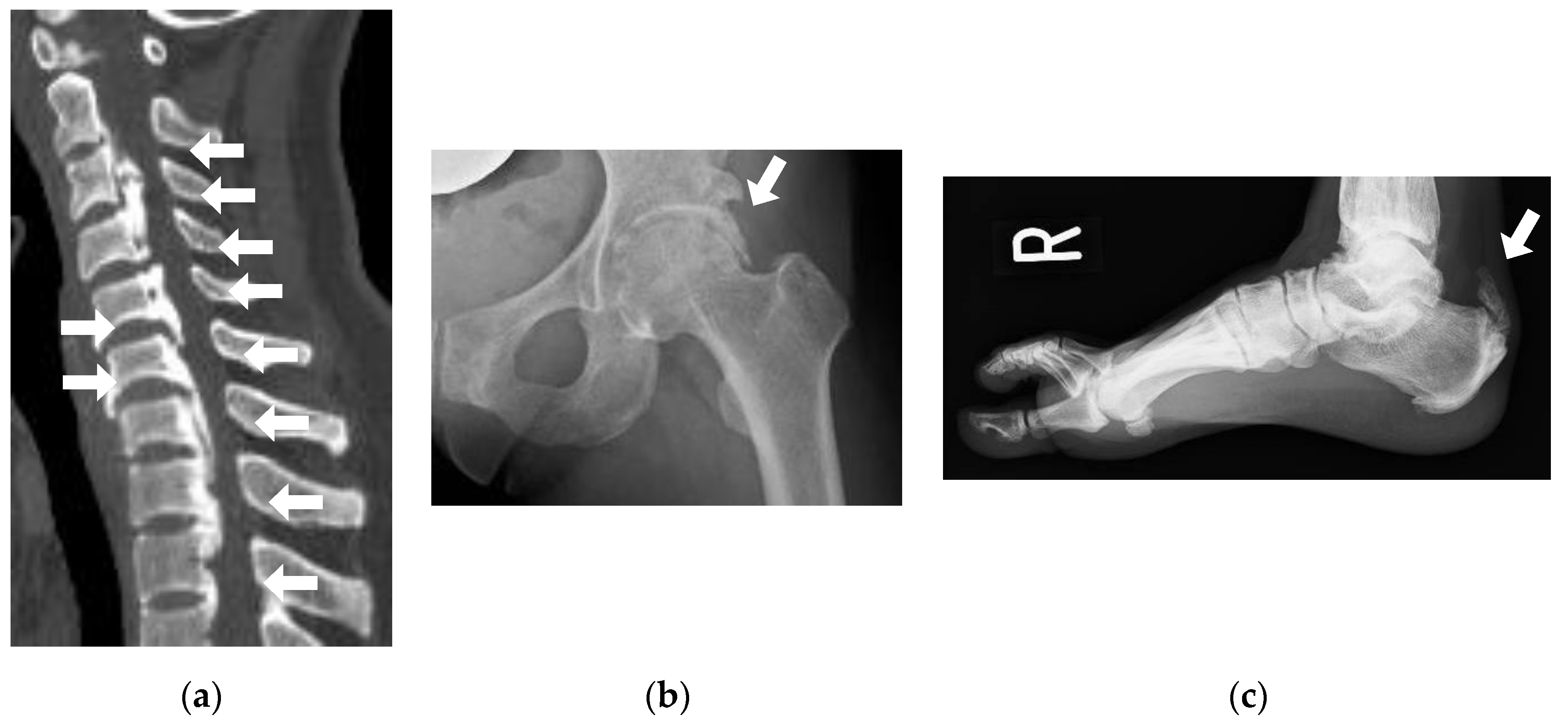 Endocrines 03 00030 g002