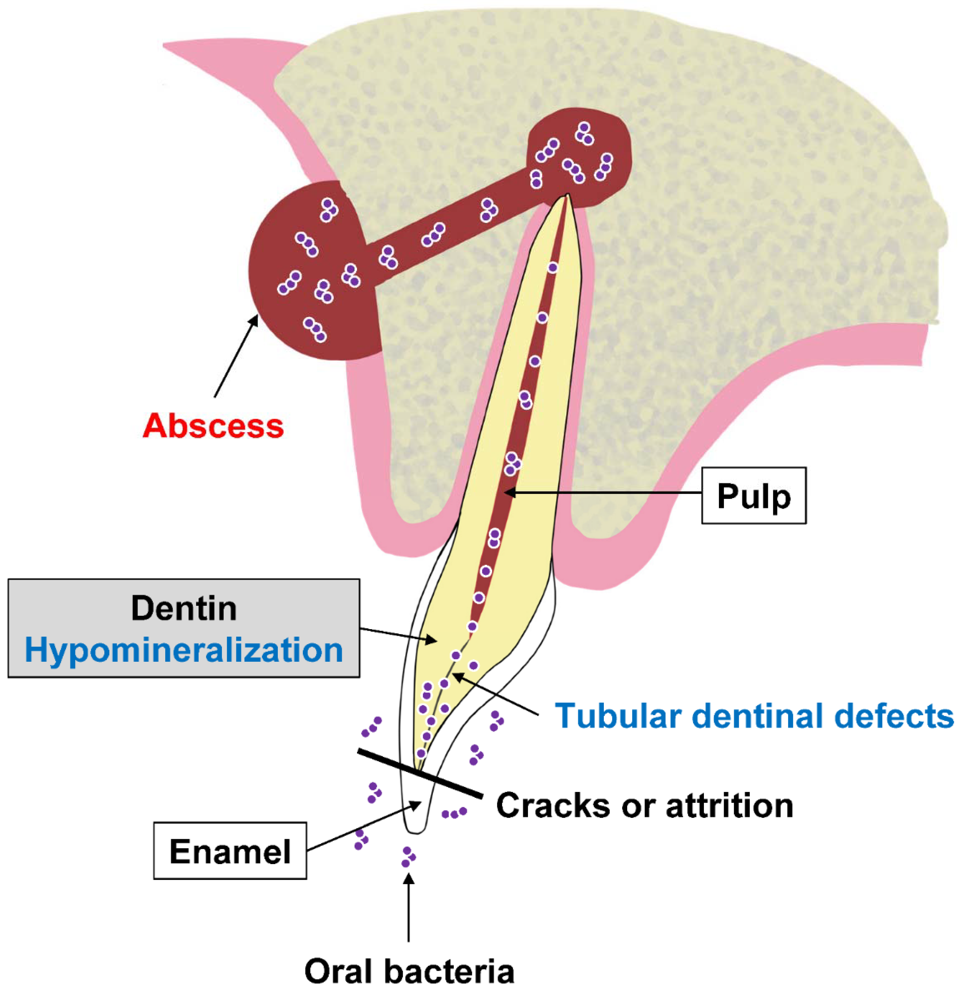 Endocrines 03 00056 g002 Endocrines 03 00056 g002