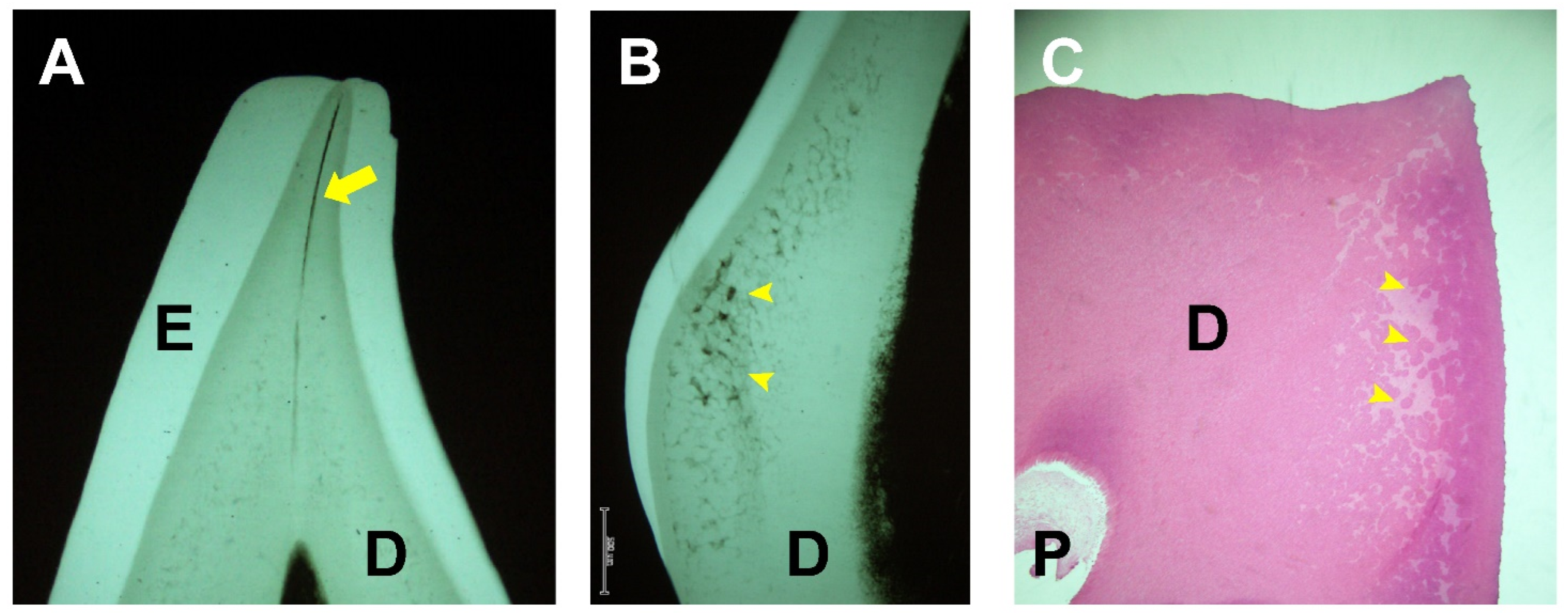 Endocrines 03 00056 g004 Endocrines 03 00056 g004