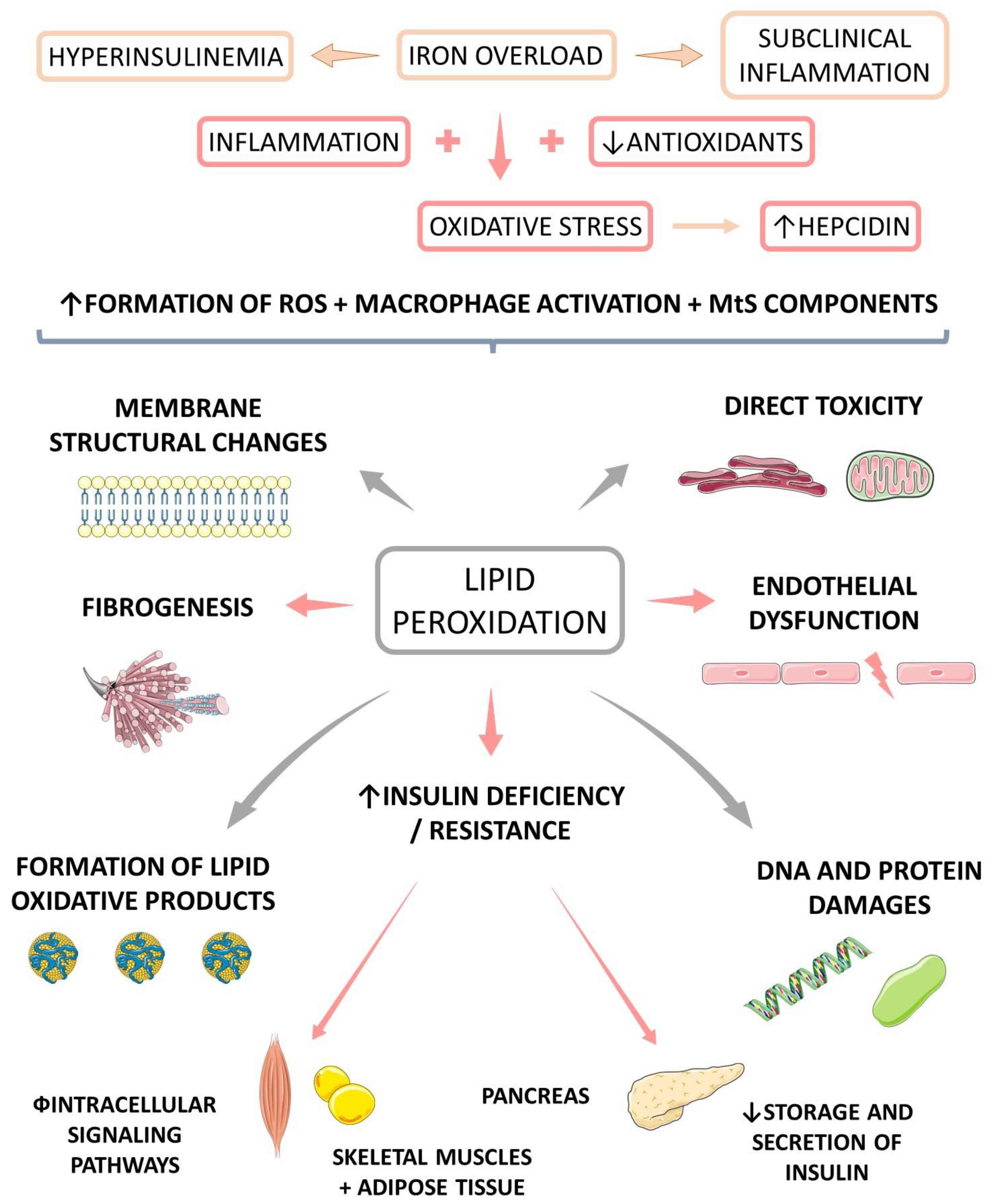 Endocrines 04 00002 g004 Endocrines 04 00002 g004