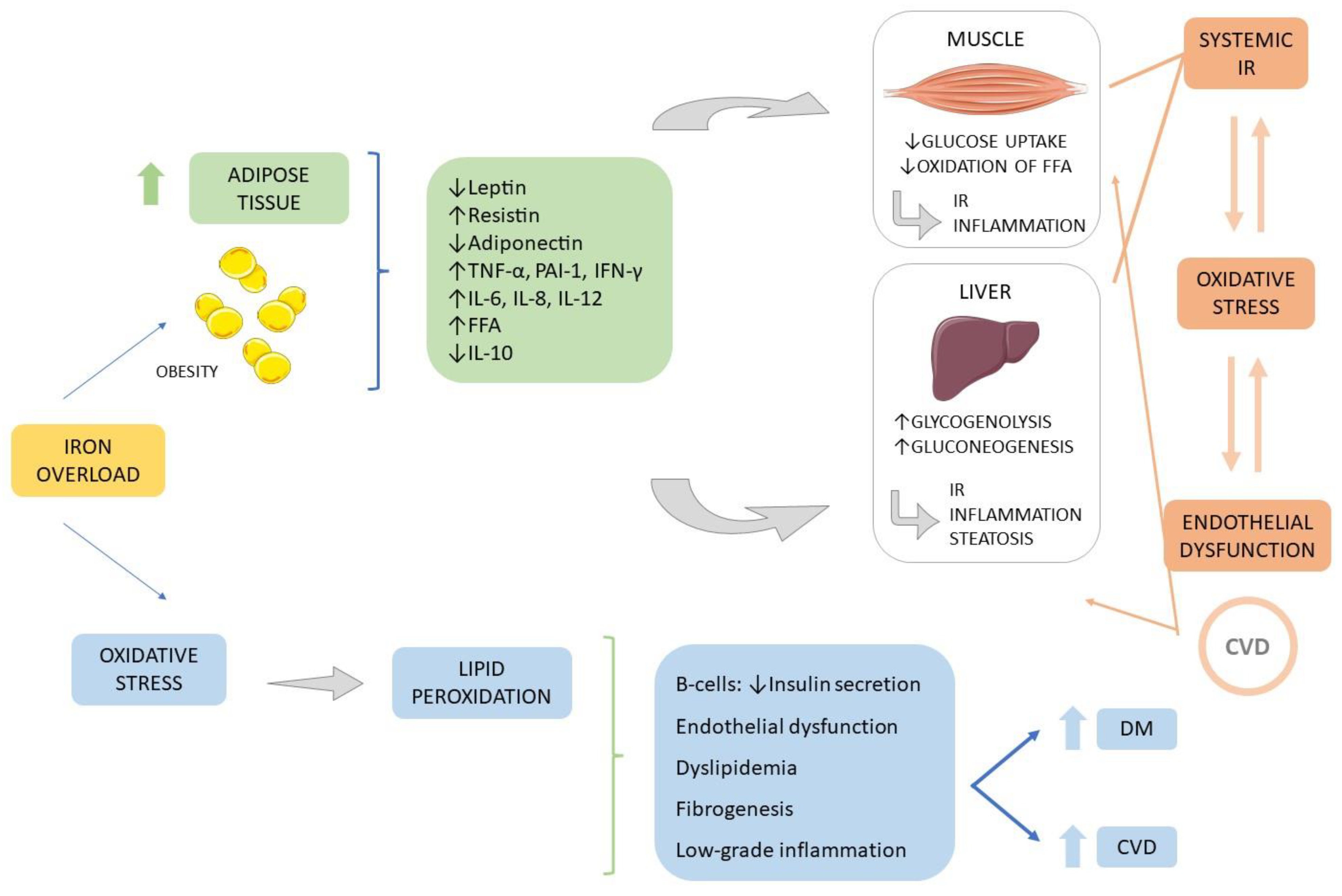 Endocrines 04 00002 g006 Endocrines 04 00002 g006