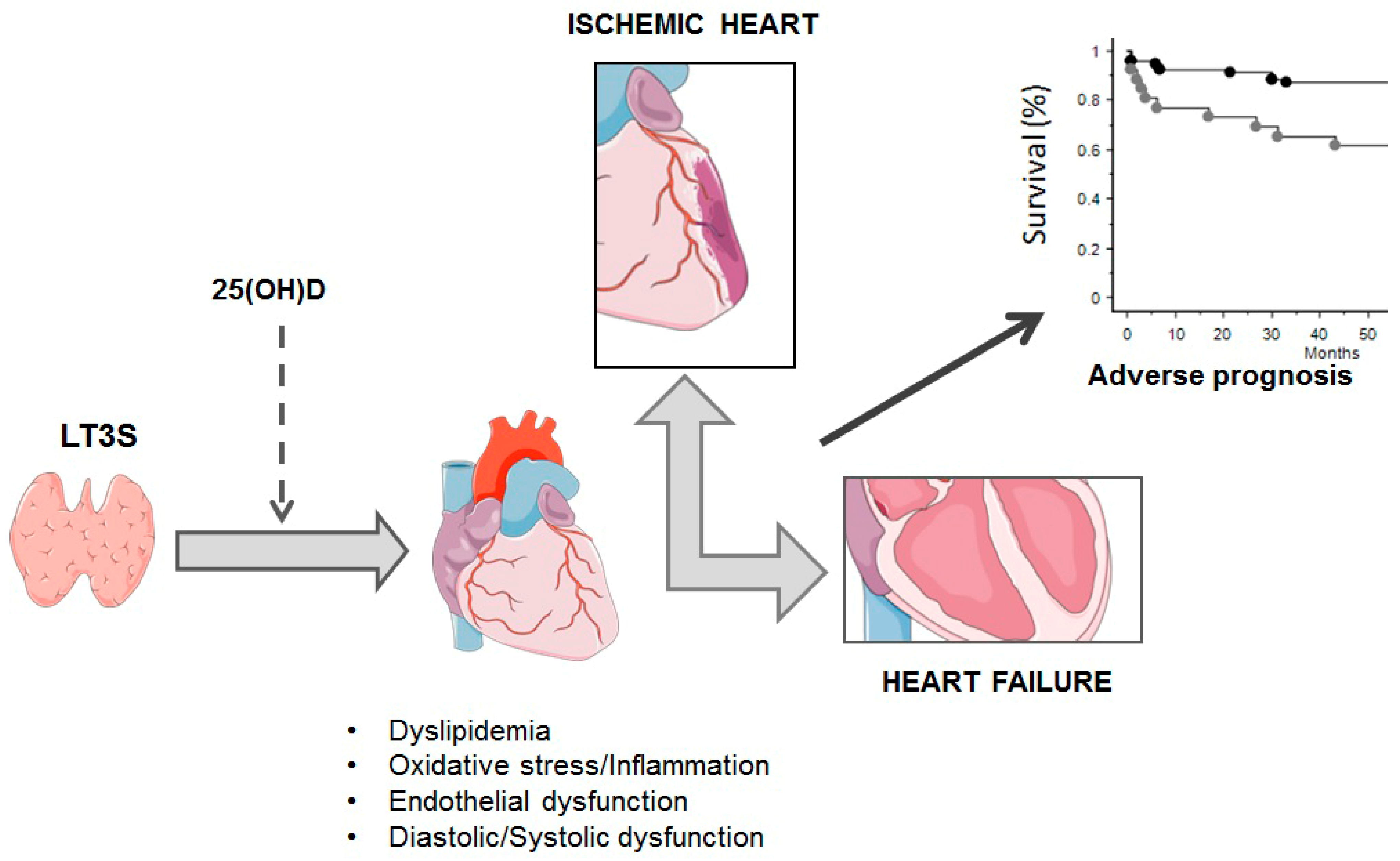 Endocrines 04 00053 g002 Endocrines 04 00053 g002