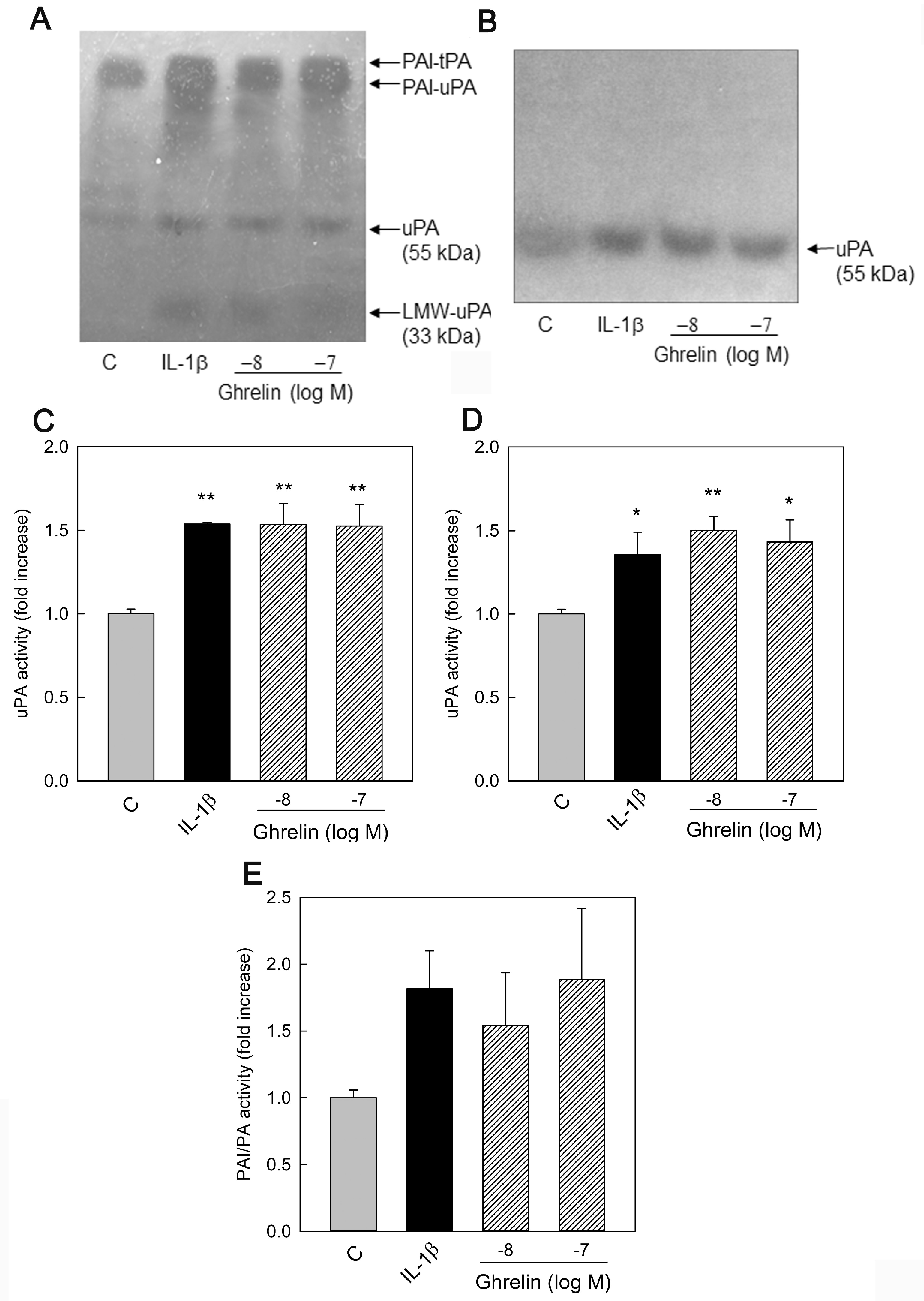 Endocrines 05 00002 g002
