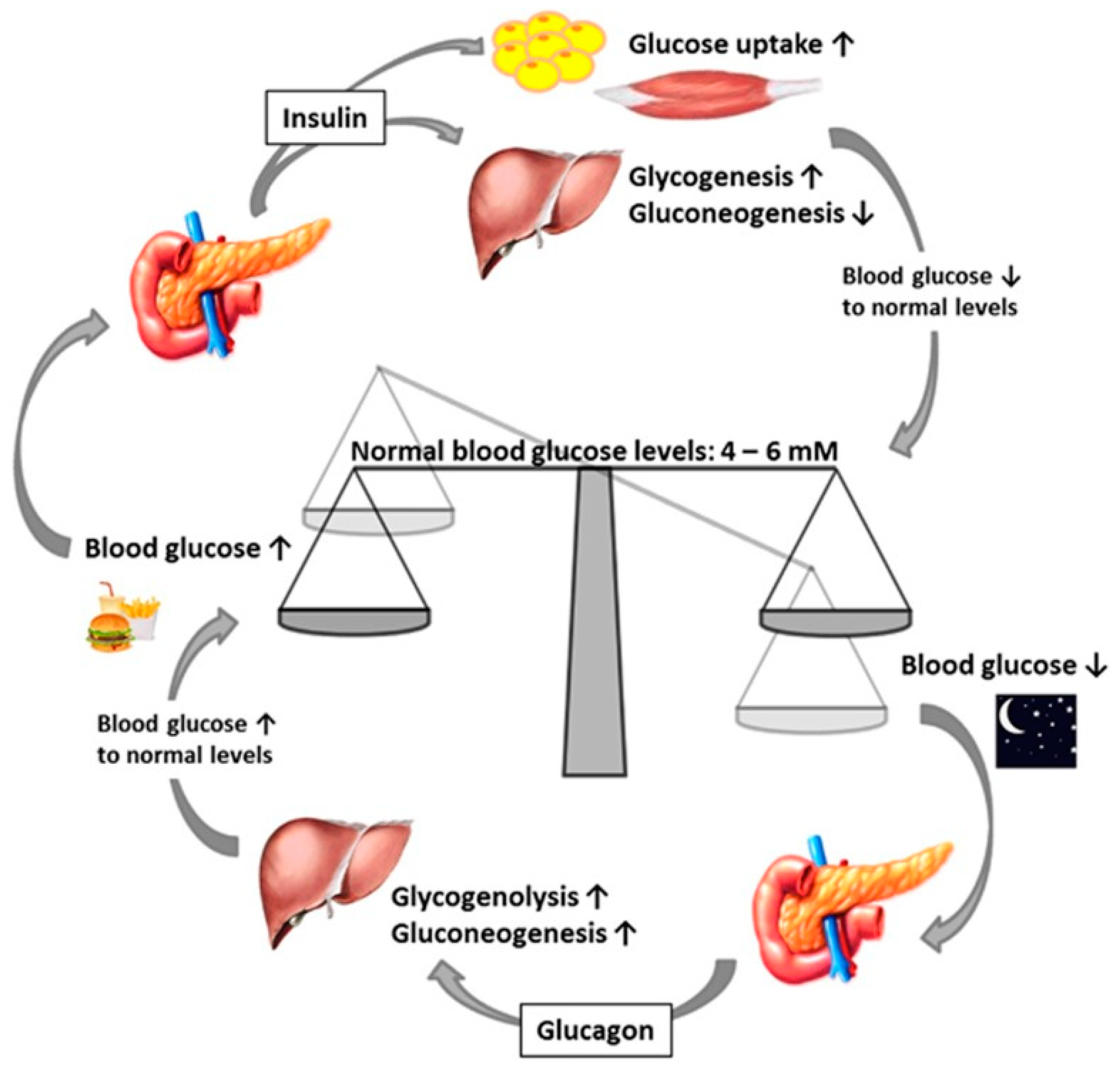 endocrines-free-full-text-mechanisms-of-insulin-resistance-in