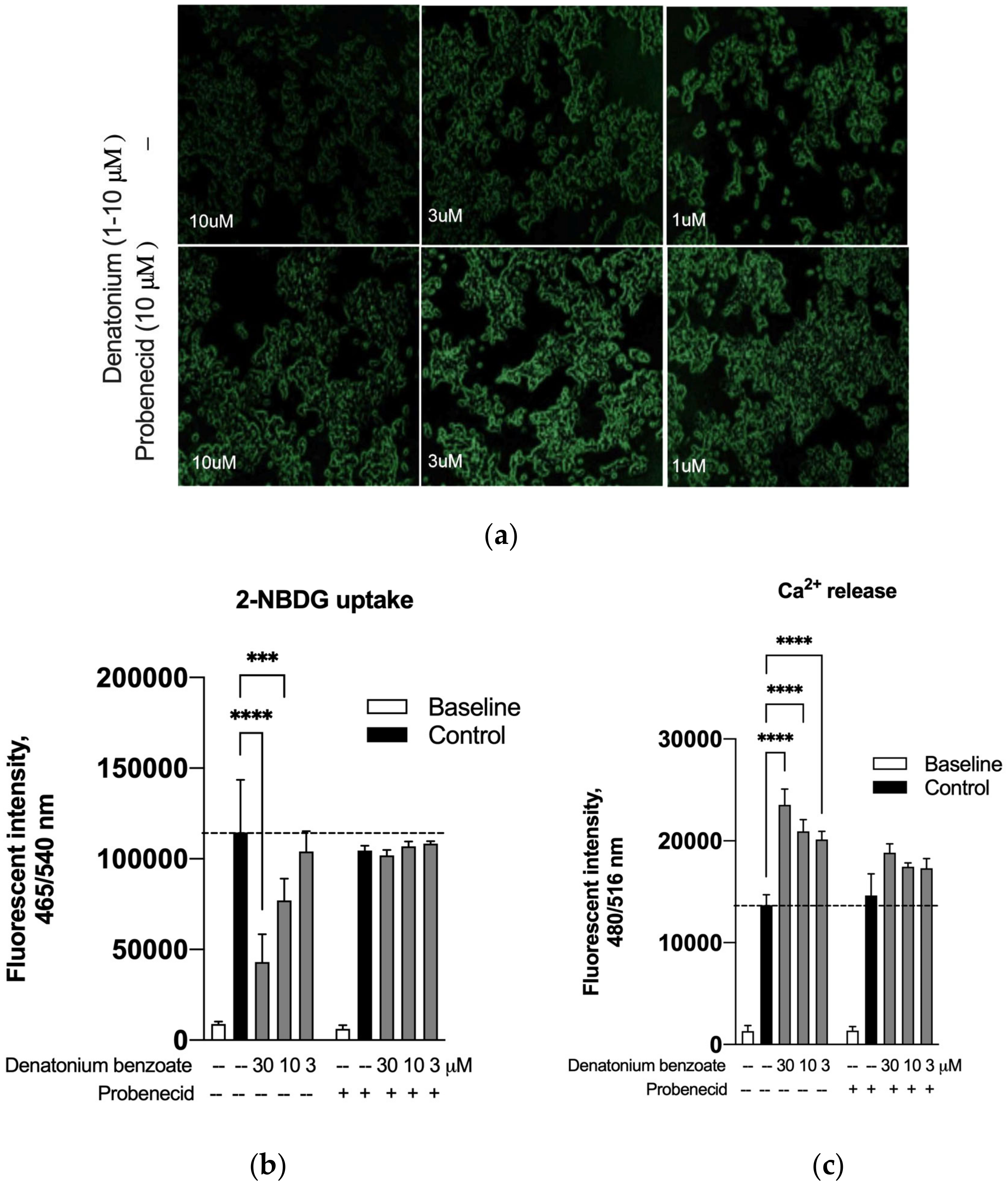 Endocrines 05 00022 g007 Endocrines 05 00022 g007