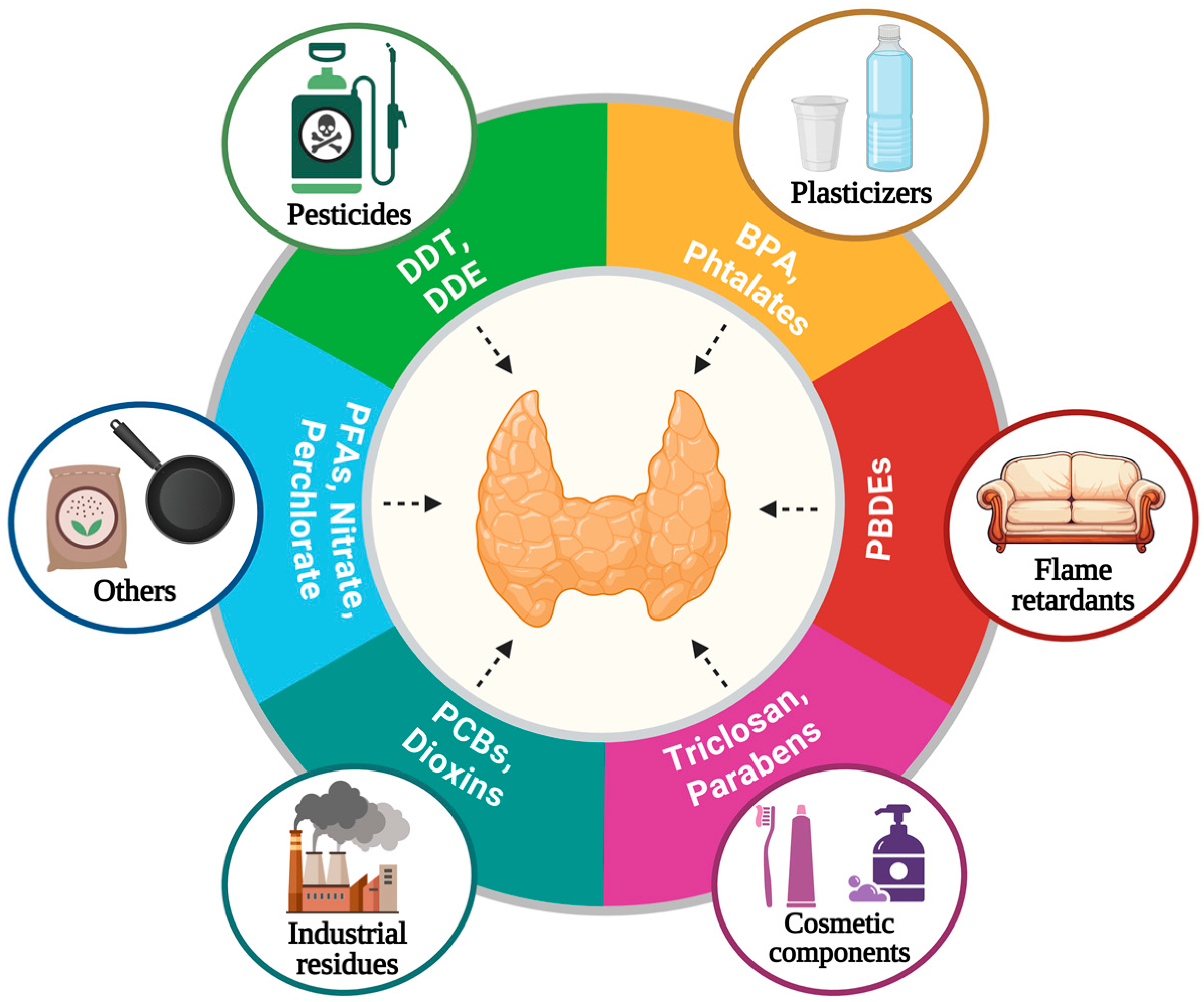 Endocrines 05 00032 g003 Endocrines 05 00032 g003