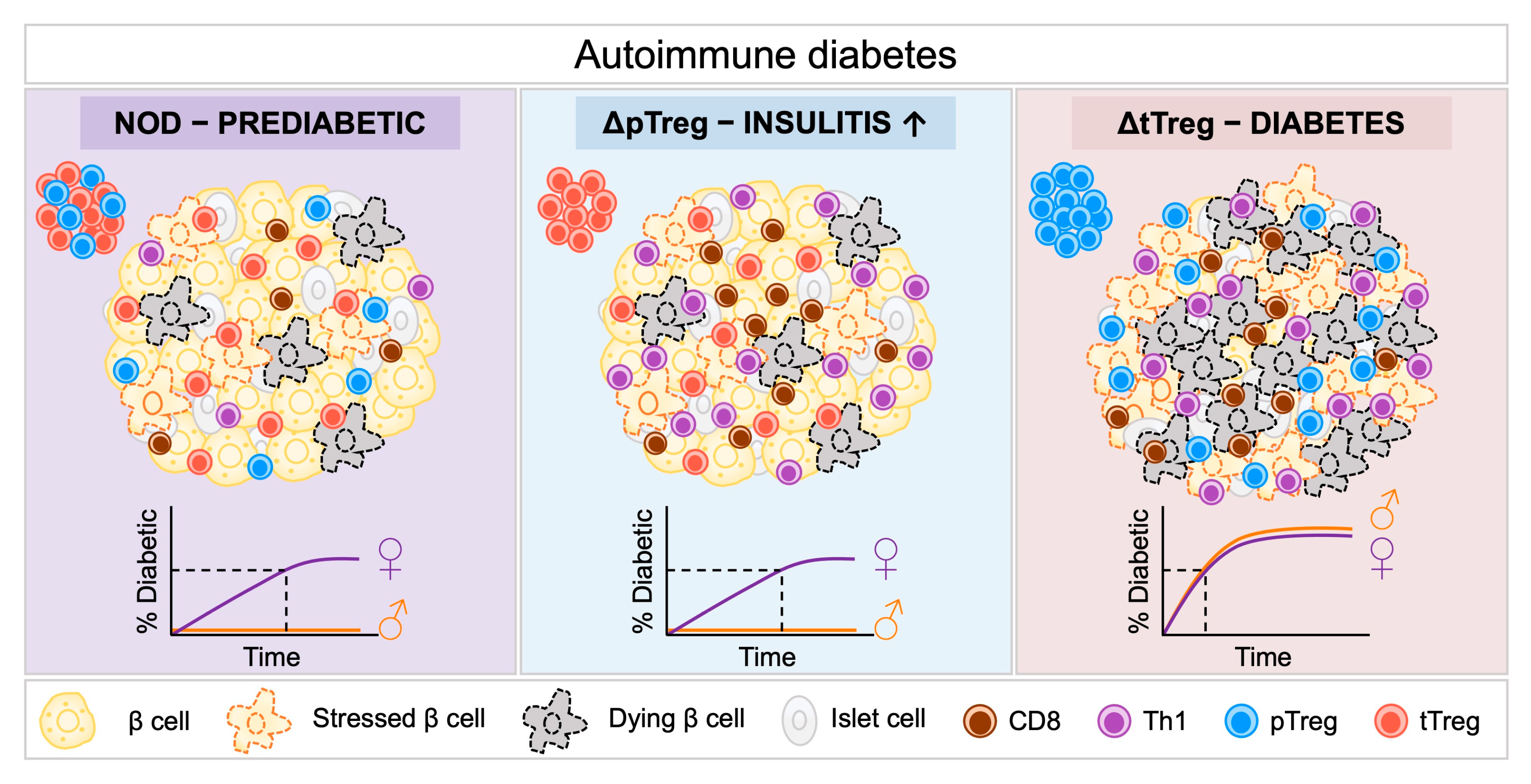 Endocrines 06 00041 g001 Endocrines 06 00041 g001