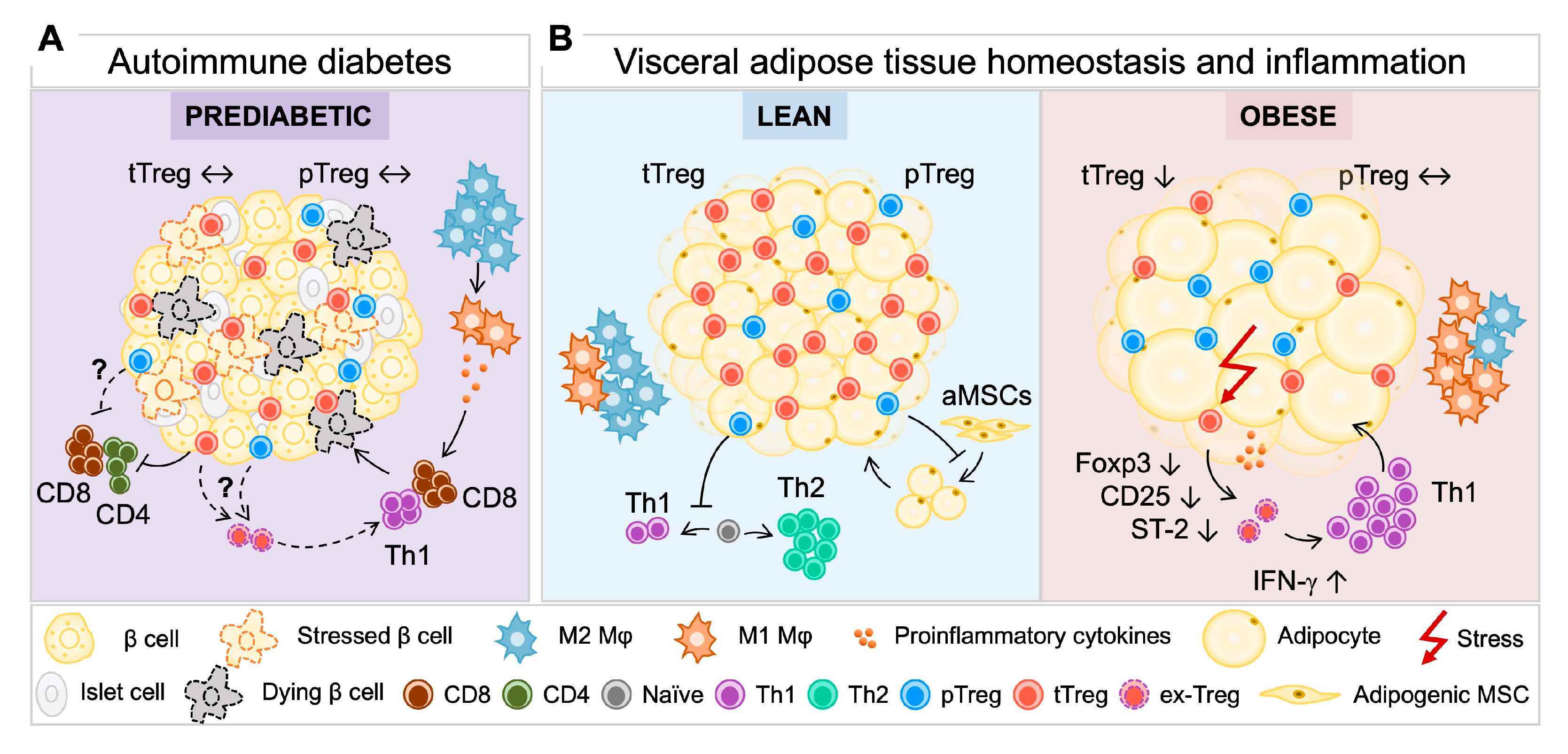 Endocrines 06 00041 g002 Endocrines 06 00041 g002