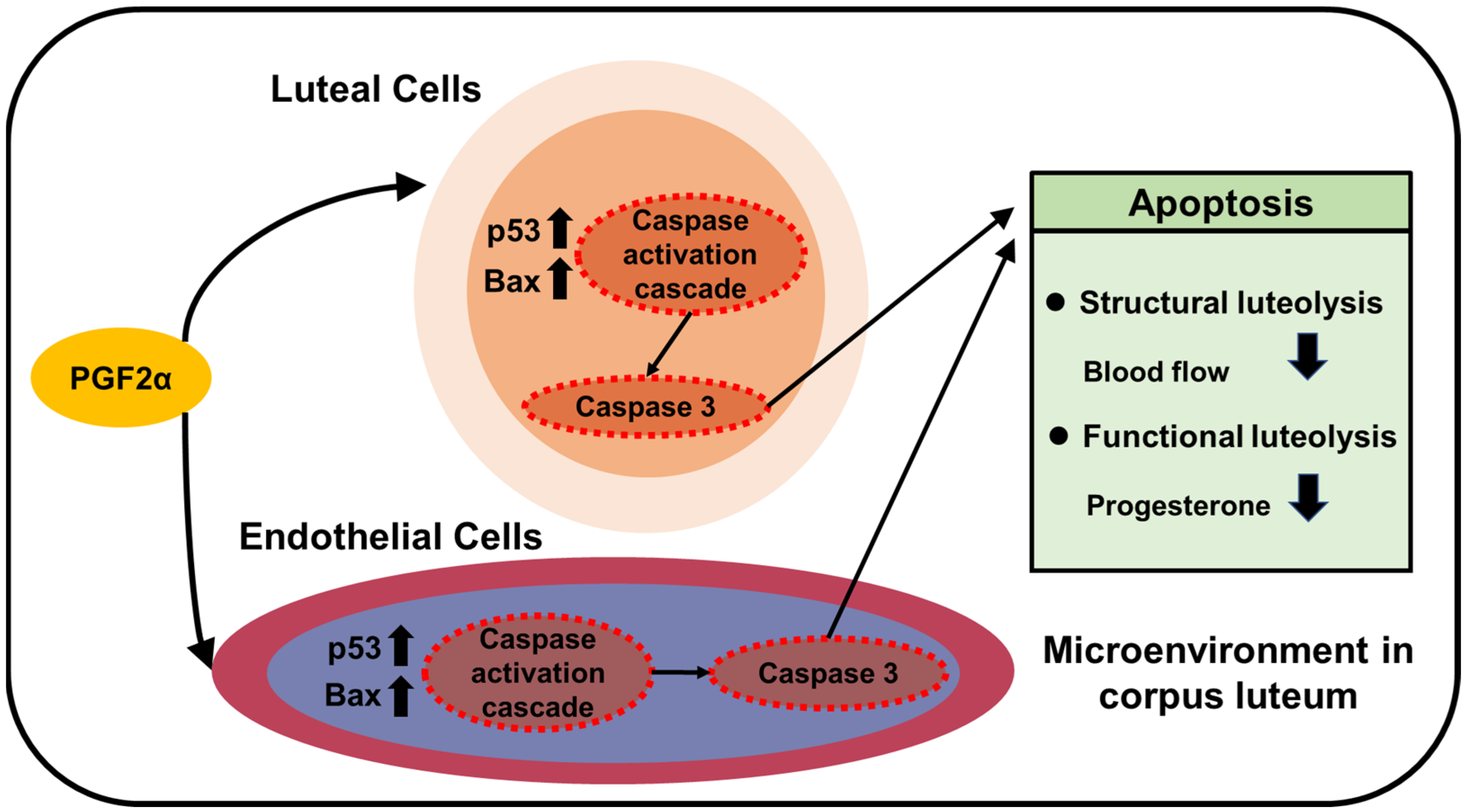 Endocrines 06 00053 g002 Endocrines 06 00053 g002