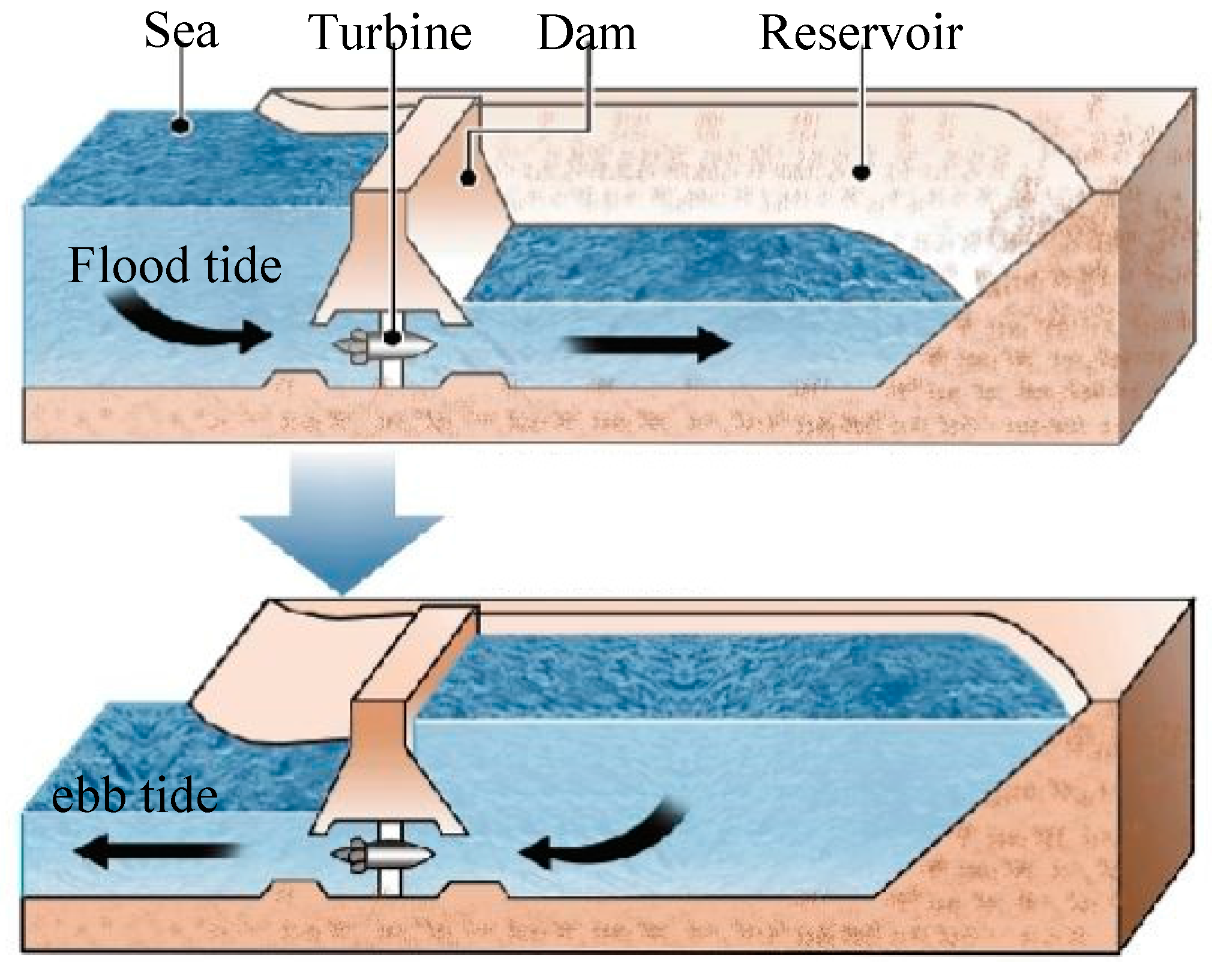 Energies | Free Full-Text | Optimization of the Runner for Extremely Low  Head Bidirectional Tidal Bulb Turbine