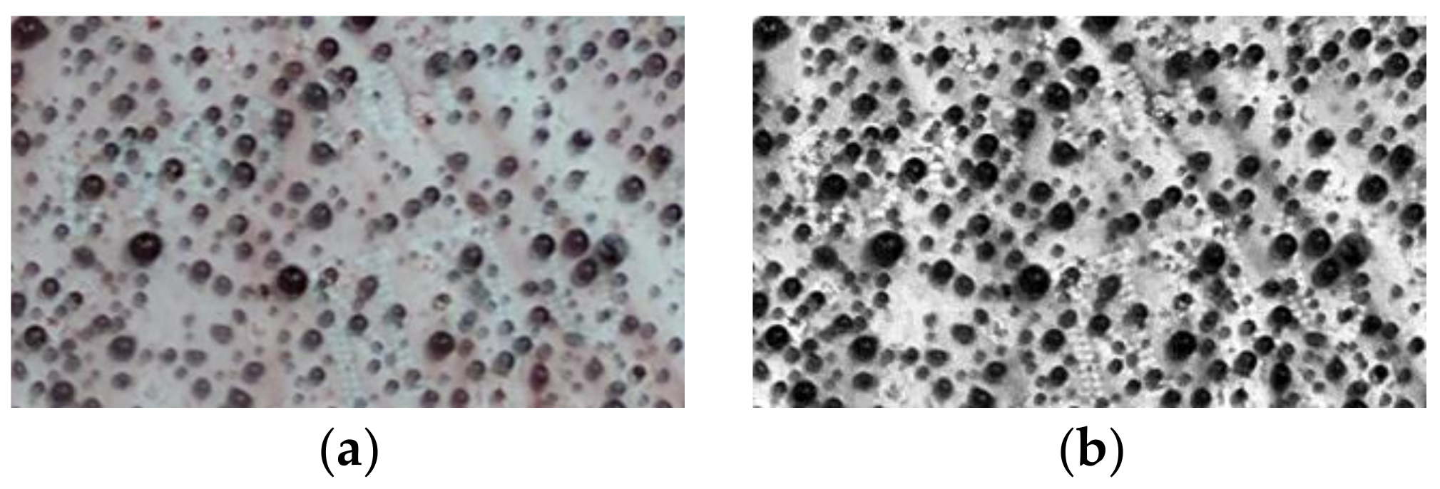 Energies 11 00765 g001