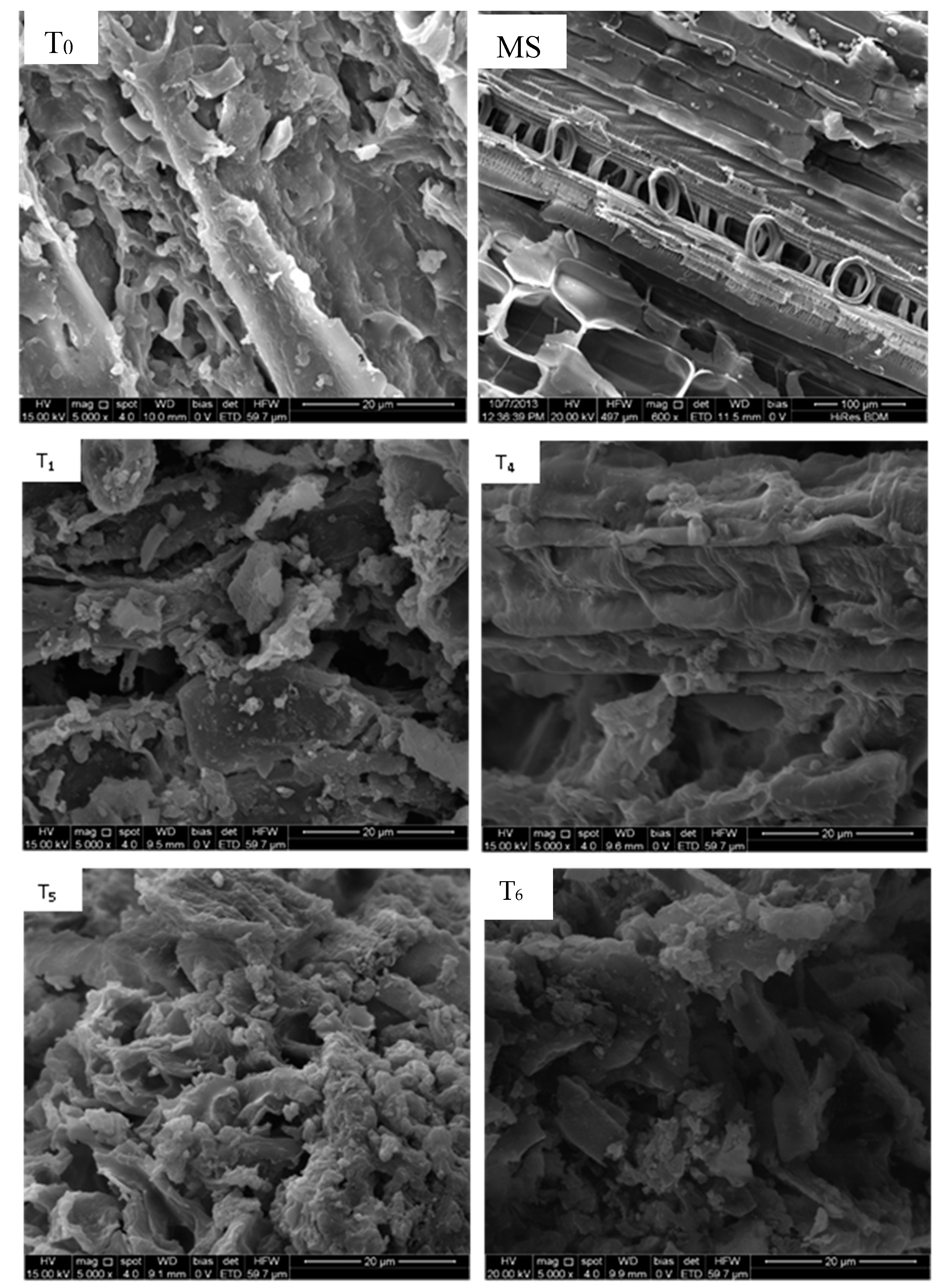 Energies Free Full Text Hydrothermal Carbonization Of Peat Moss And Herbaceous Biomass Miscanthus A Potential Route For Bioenergy Html