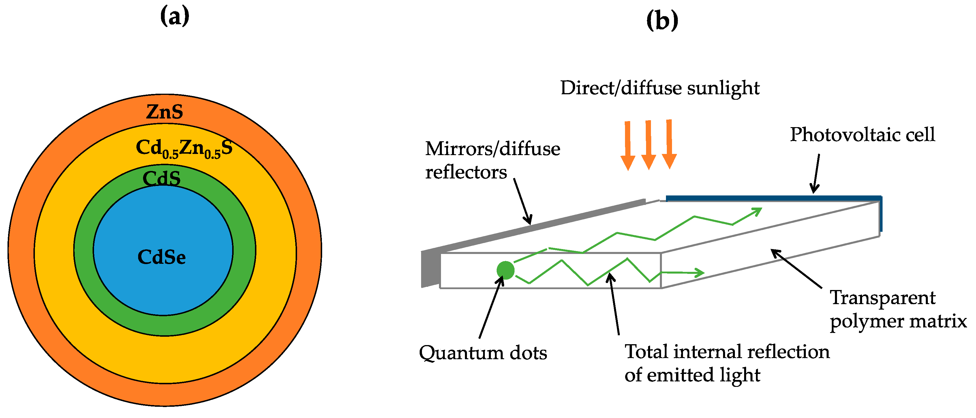 core shell quantum dot