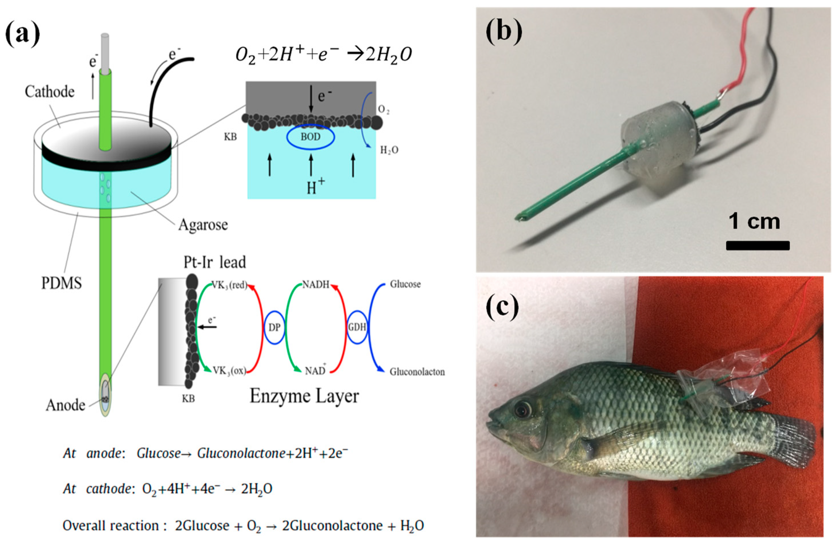 Energies 12 01827 g002 Energies 12 01827 g002
