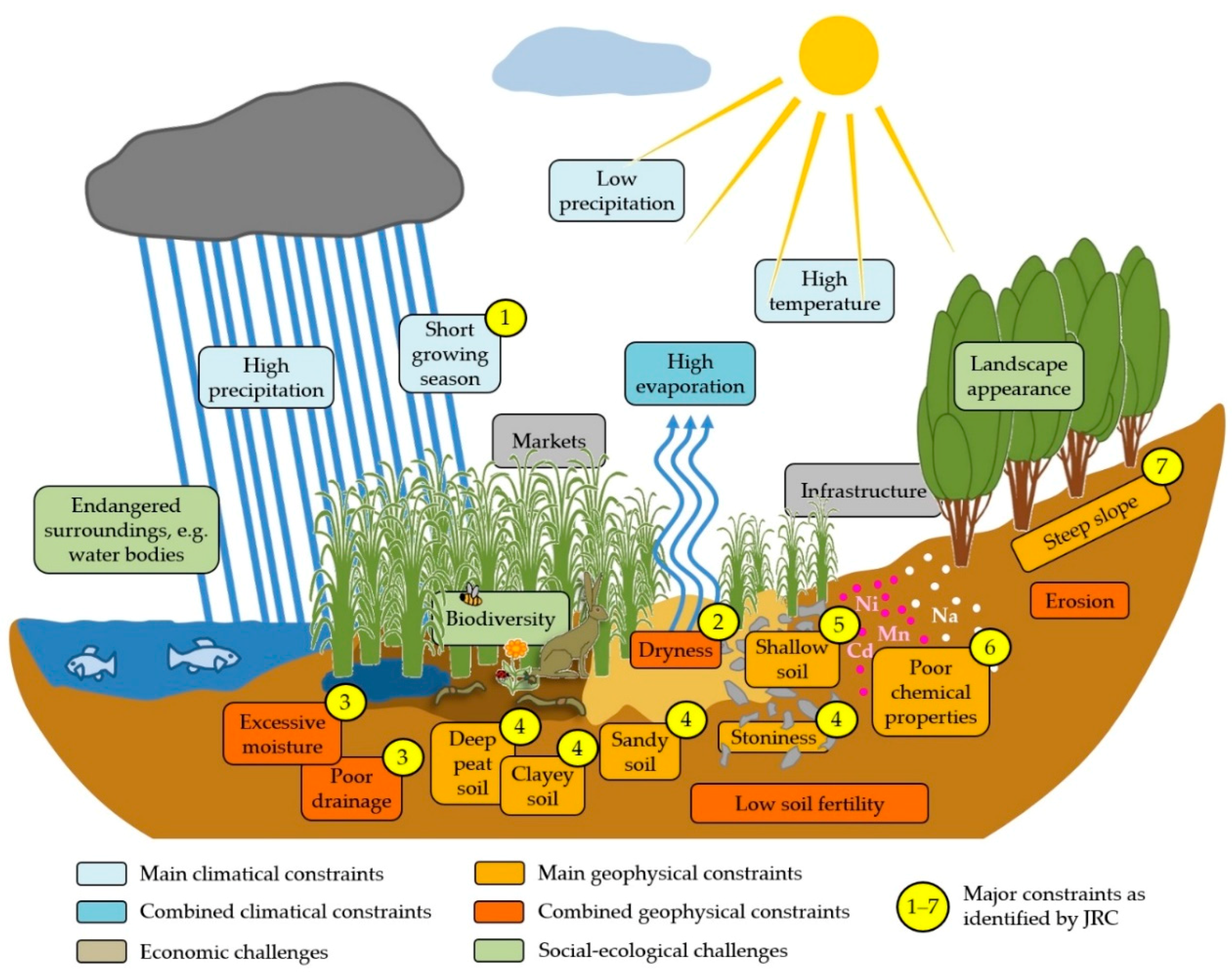 Energies | Free Full-Text | Marginal Agricultural Land Low-Input Systems  for Biomass Production