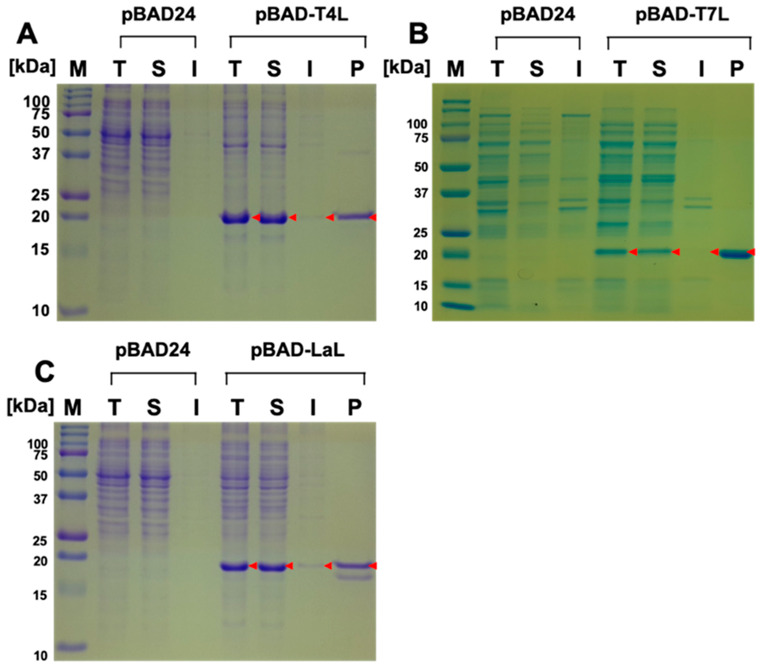 Energies 12 03644 g001