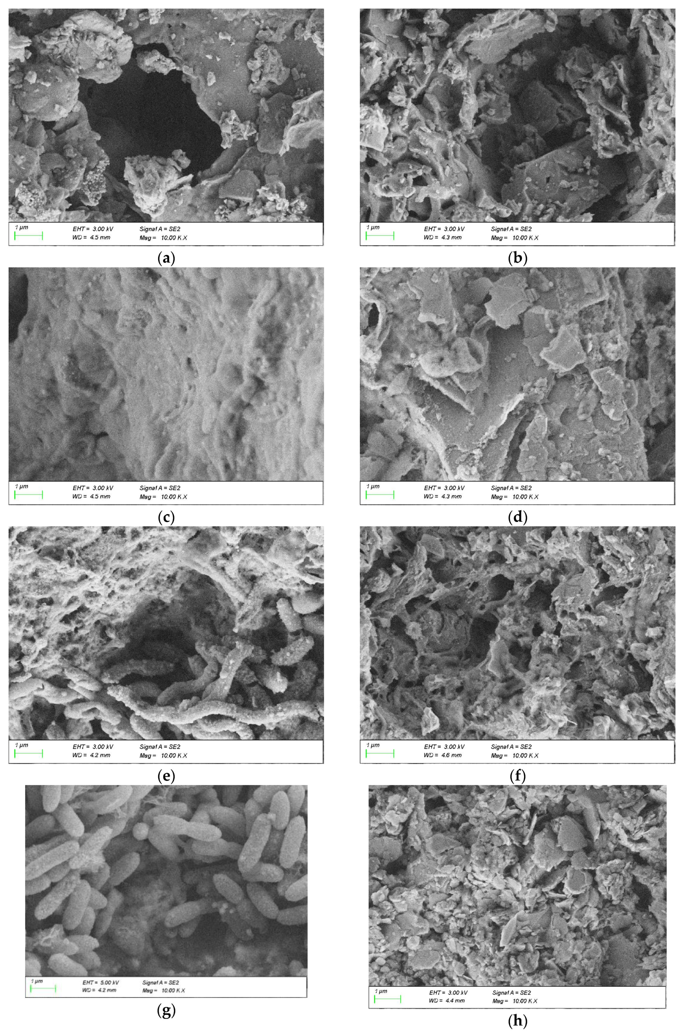 Energies 13 00995 g010a