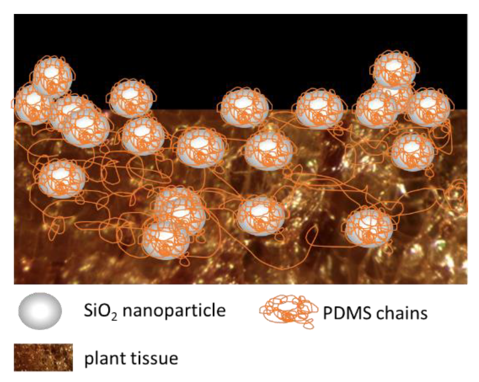 Energies 13 01064 g002
