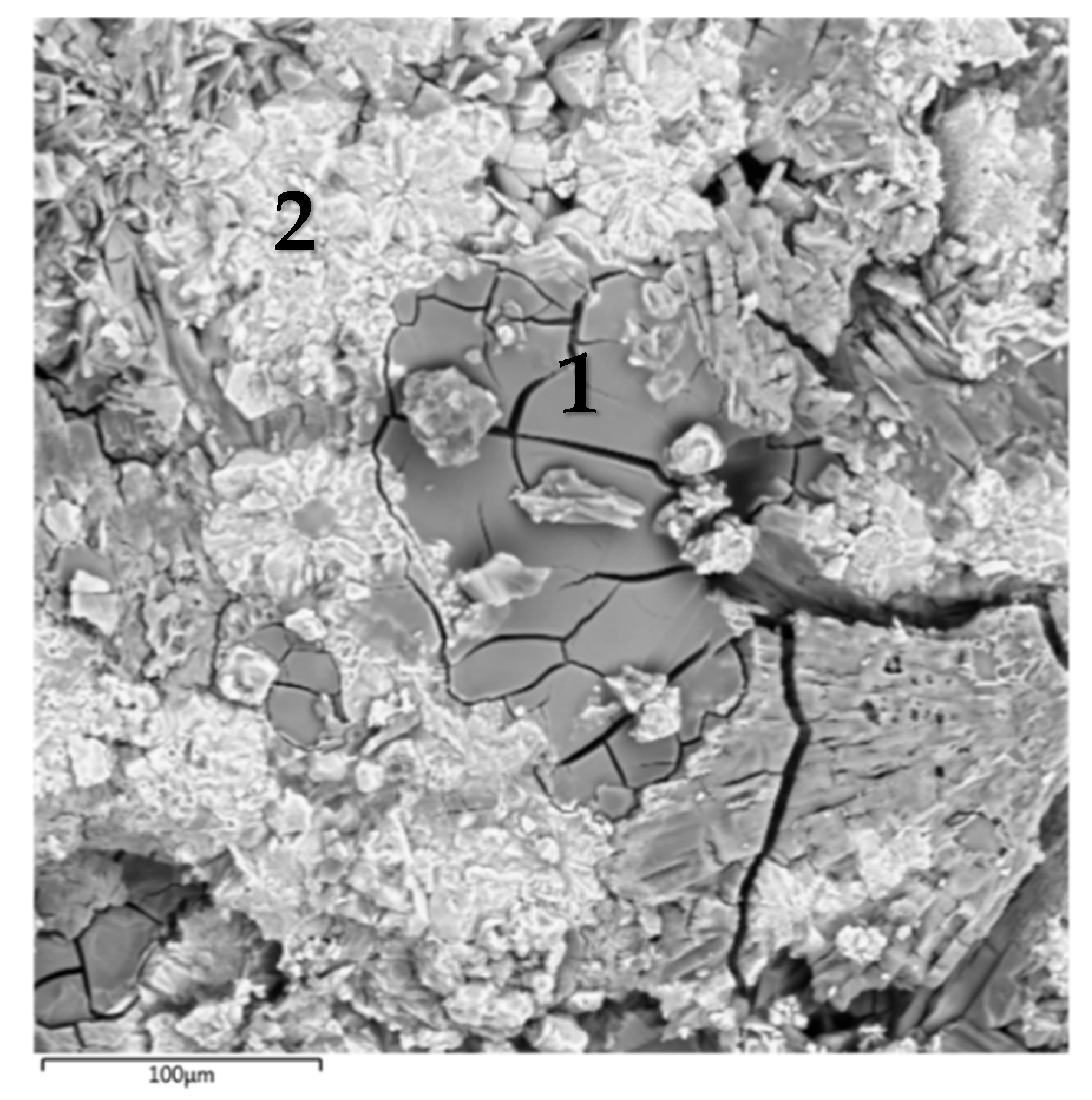 Energies 13 01963 g002