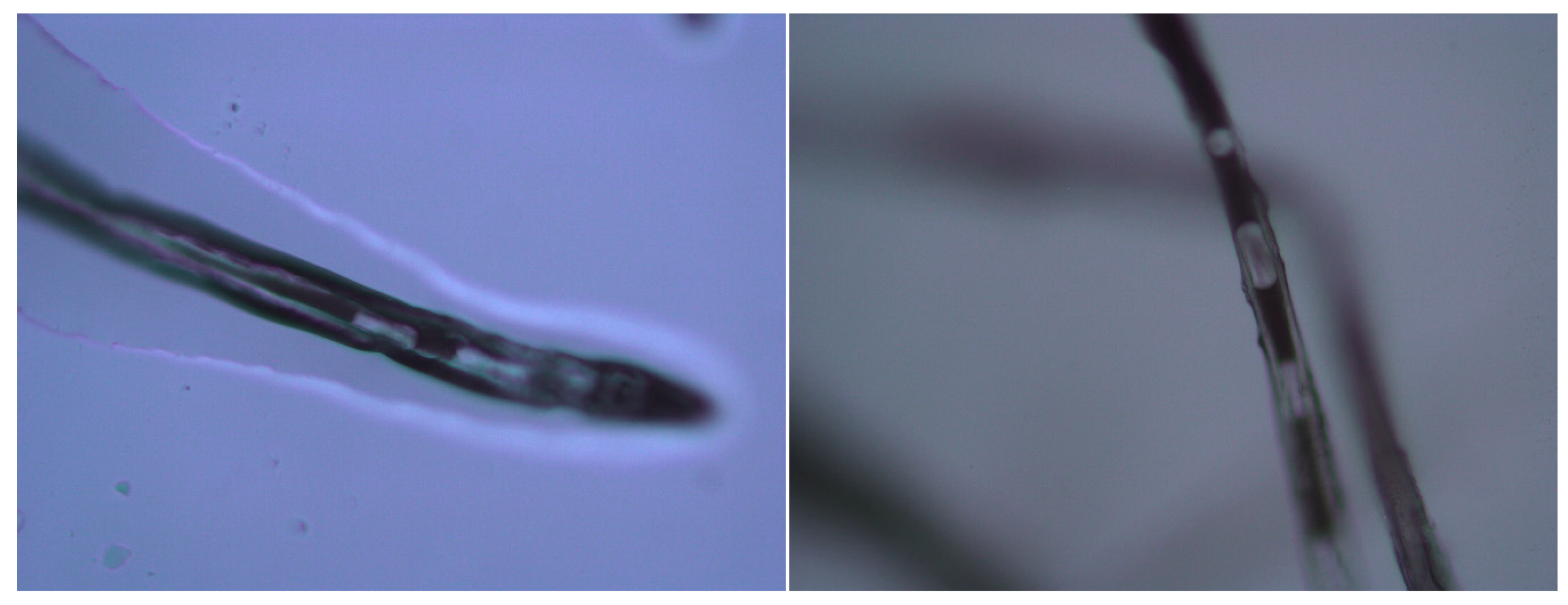 Energies 13 03065 g005