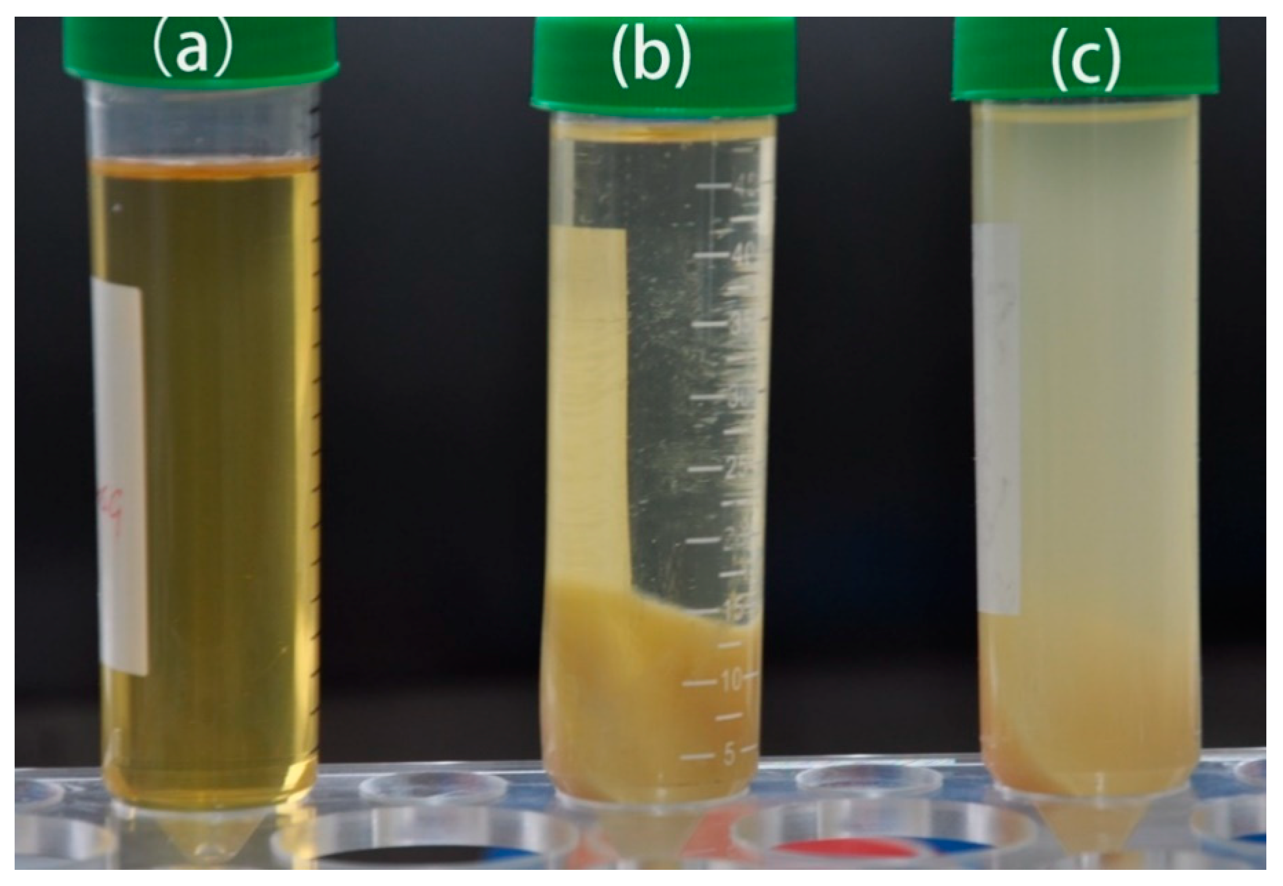 Energies 13 04319 g004