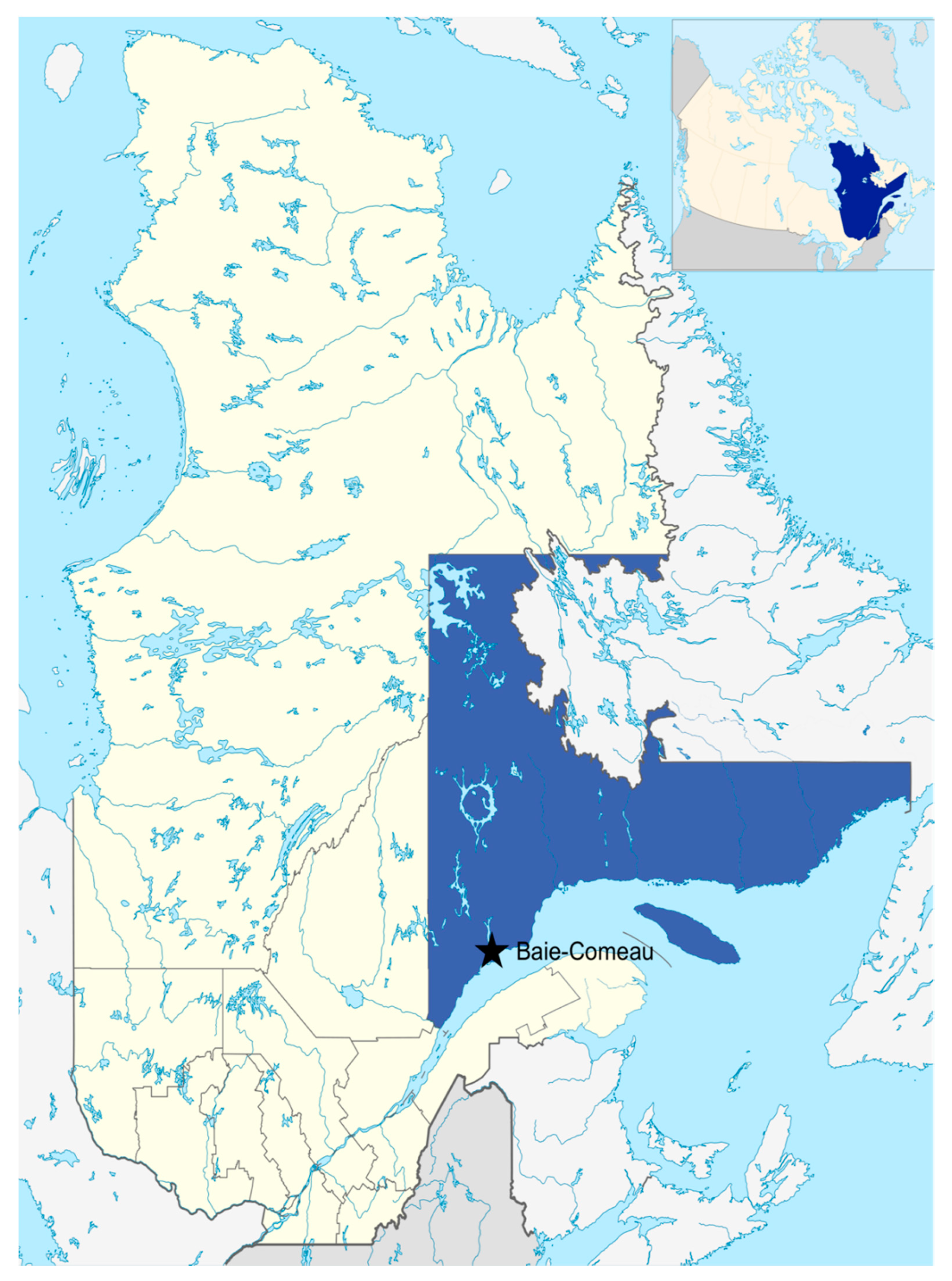 Energies Free Full Text Degraded Trees From Spruce Budworm Epidemics As Bioenergy Feedstock A Profitability Analysis Of Forest Operations Html