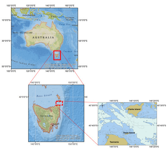 Where Is Mako Island Located On The Map Energies | Free Full-Text | Towards A Tidal Farm In Banks Strait, Tasmania:  Influence Of Tidal Array On Hydrodynamics | Html