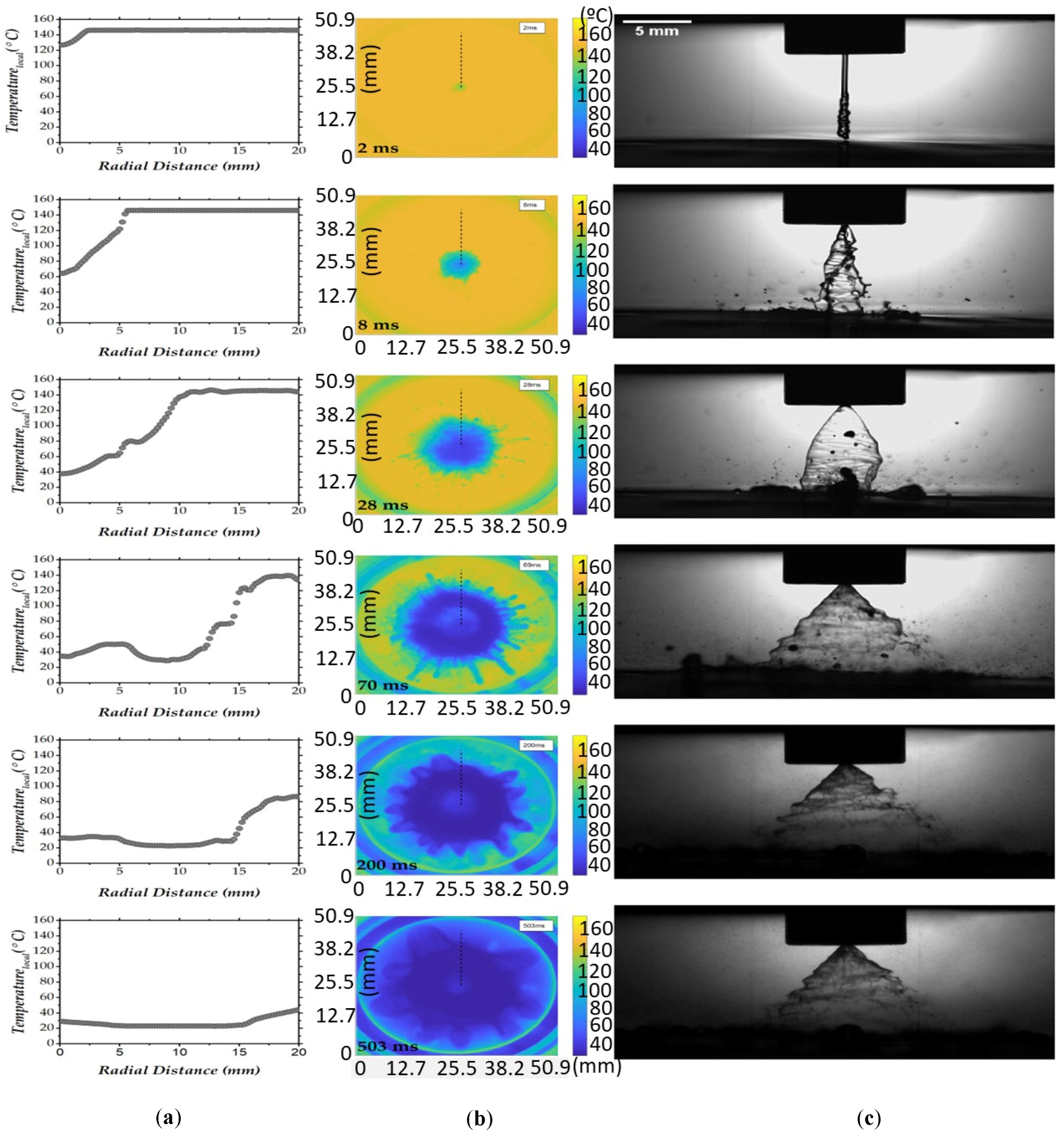 Energies | Free Full-Text | Thermofluid Characterization of 