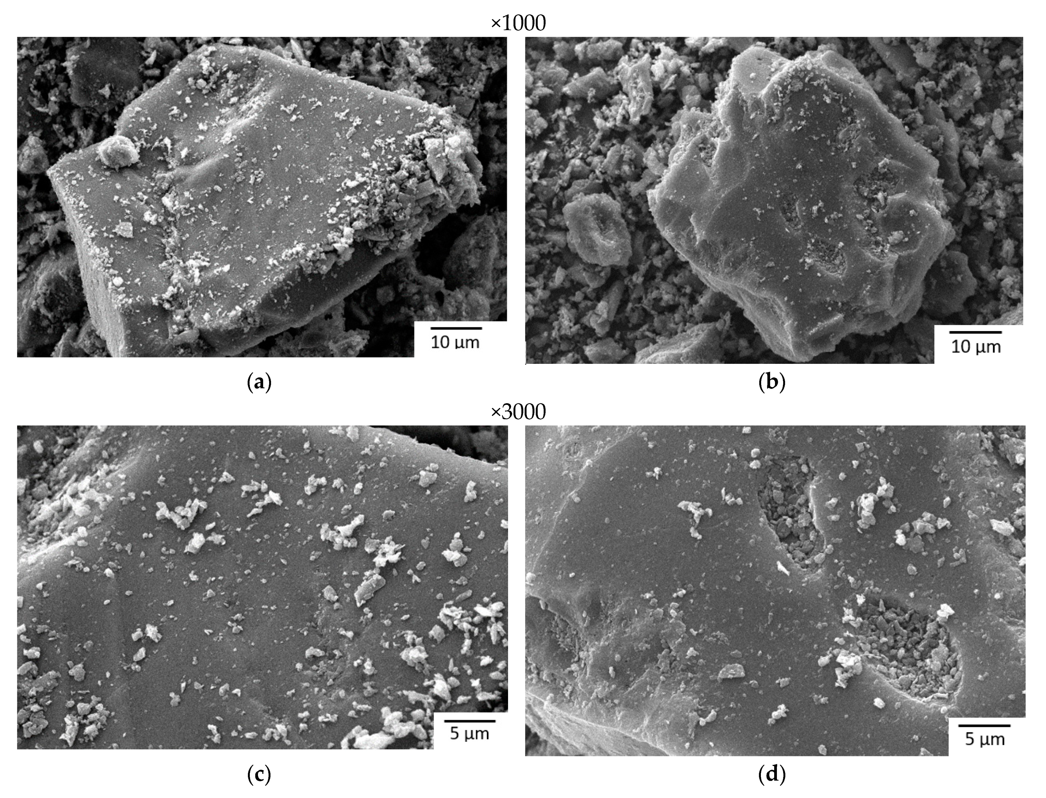 Energies 13 05926 g001