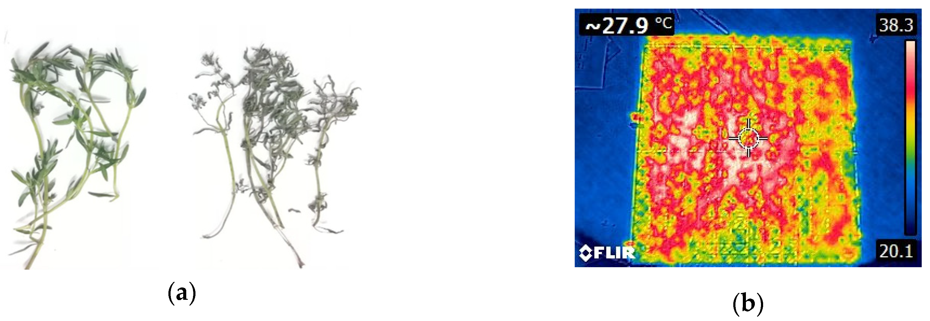 Energies 13 06333 g002