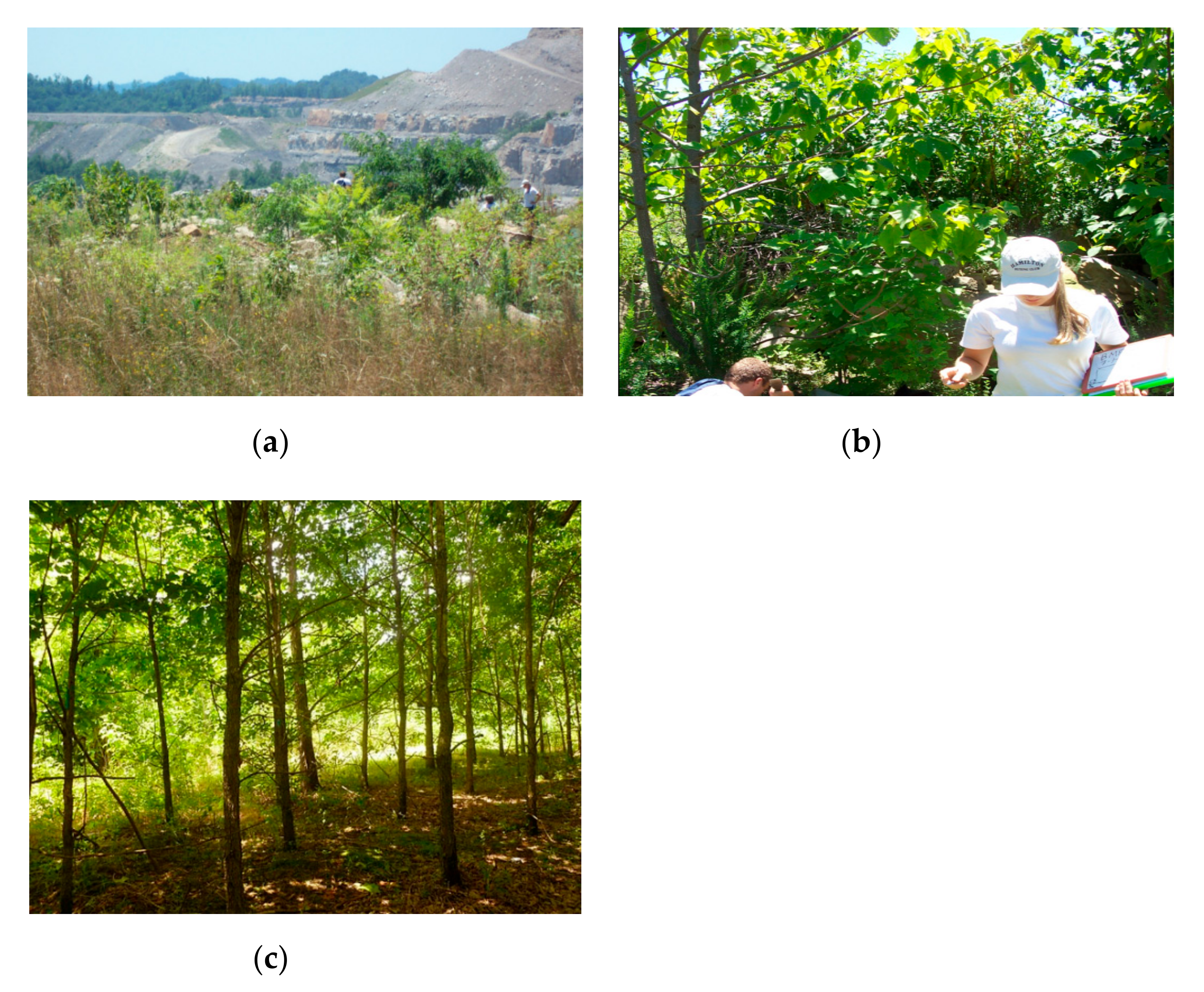 Energies 13 06340 g003 Energies 13 06340 g003