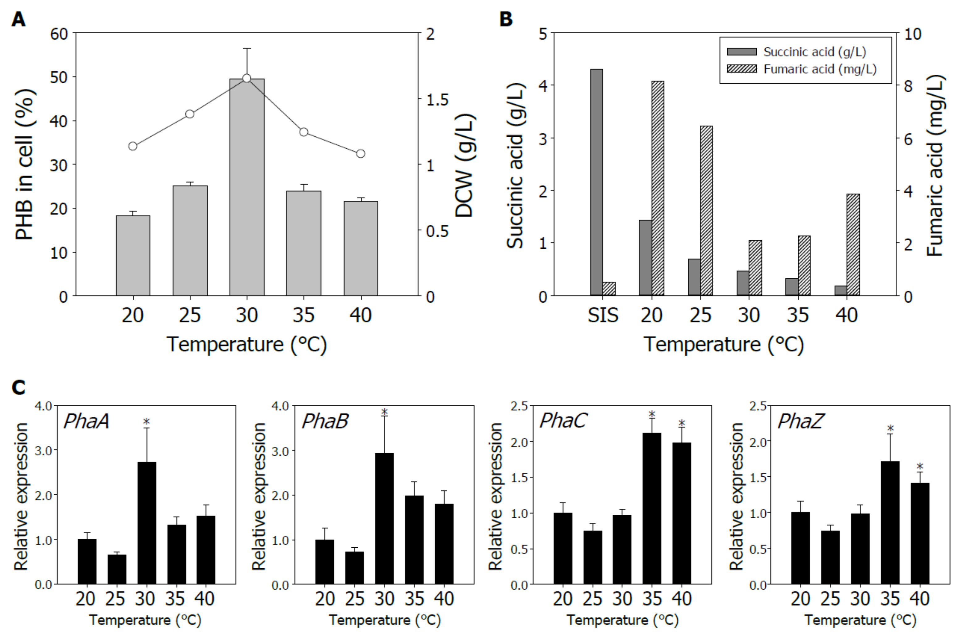 Energies Free Full Text Molecular Profiling And Optimization Studies For Growth And Phb Production Conditions In Rhodobacter Sphaeroides Html